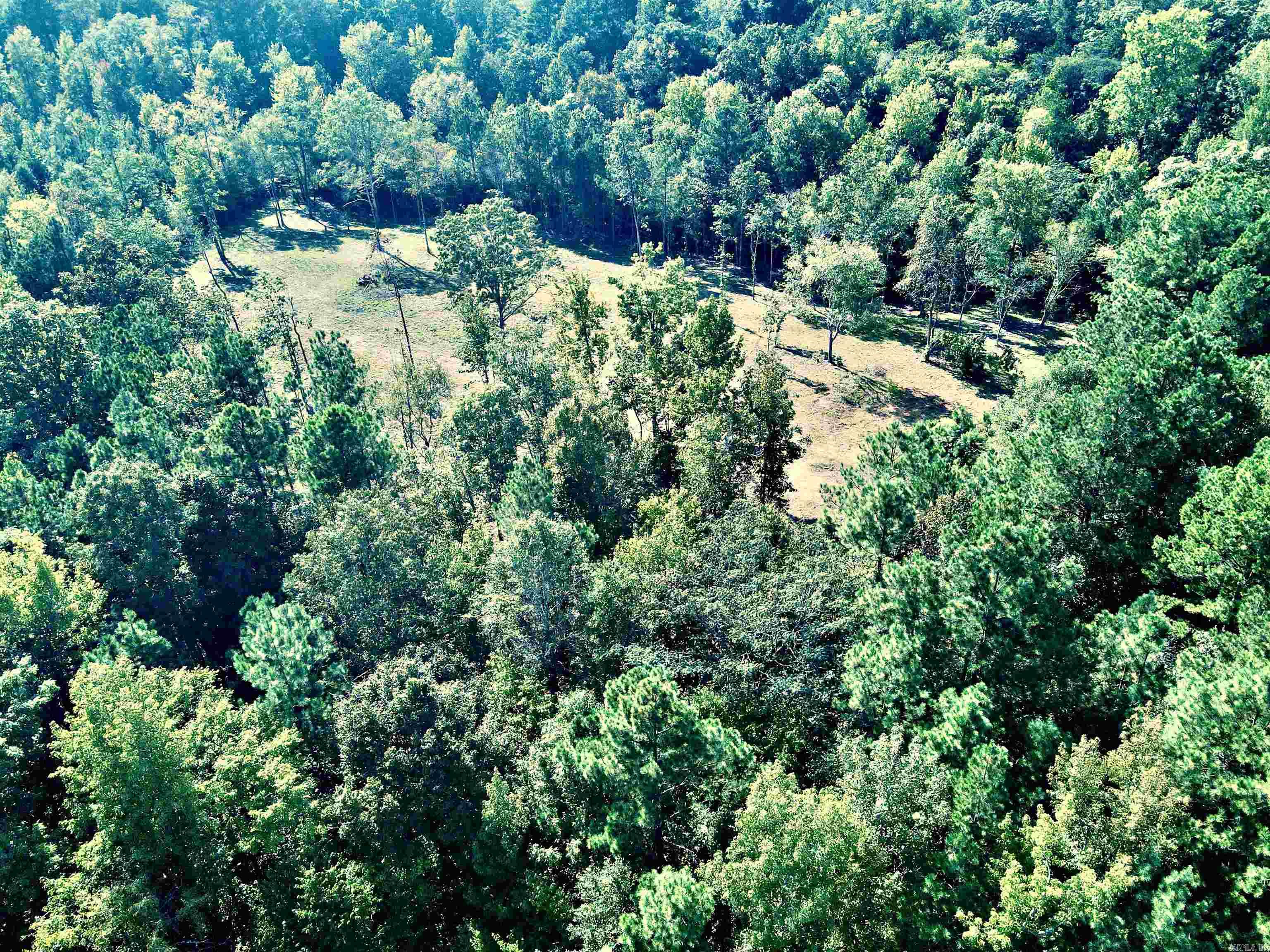 TBD Cedar Grove  Arkadelphia, AR