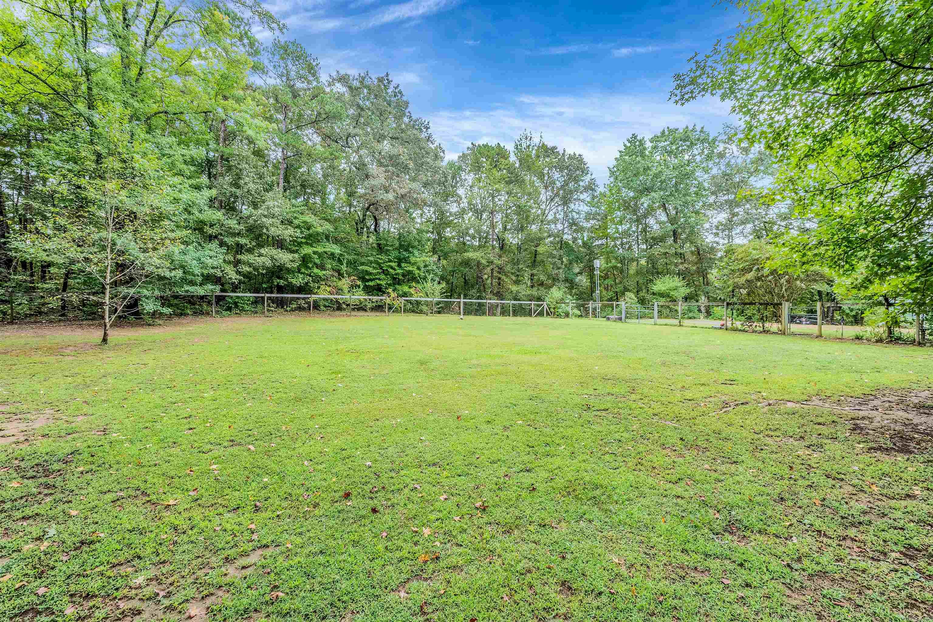 1089 River Road  Shirley, AR
