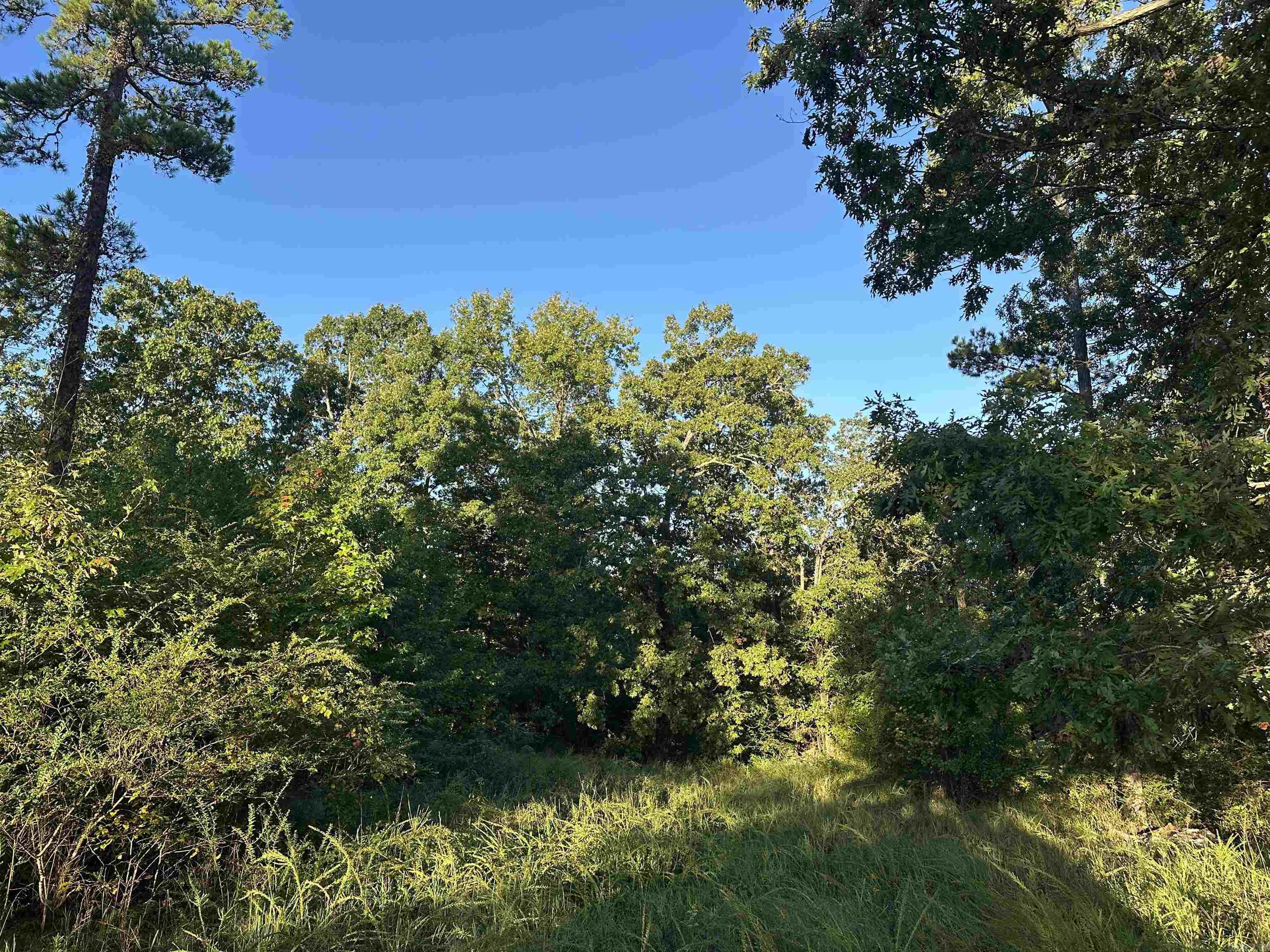 500 Hwy 336  Clinton, AR