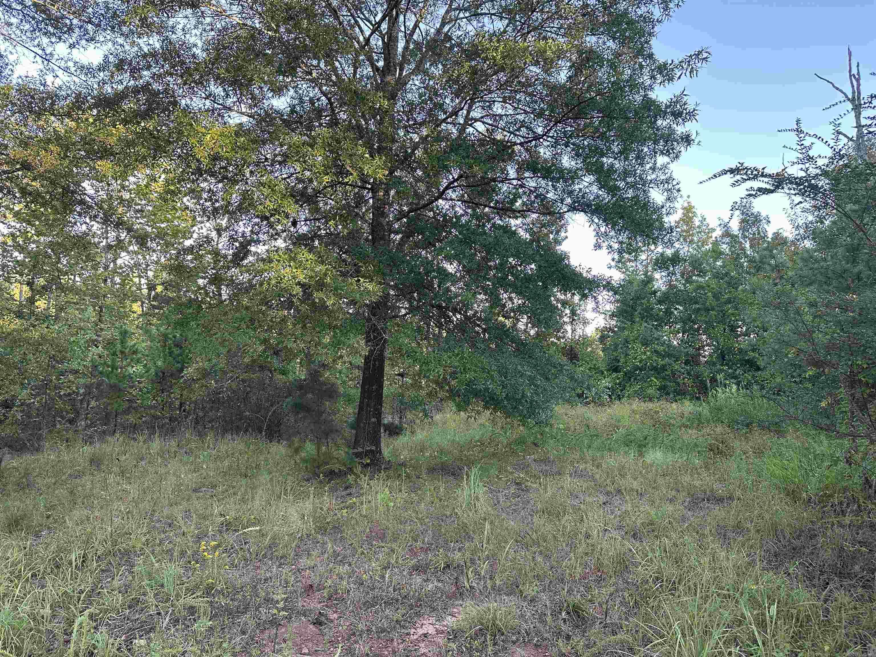 500 Hwy 336  Clinton, AR