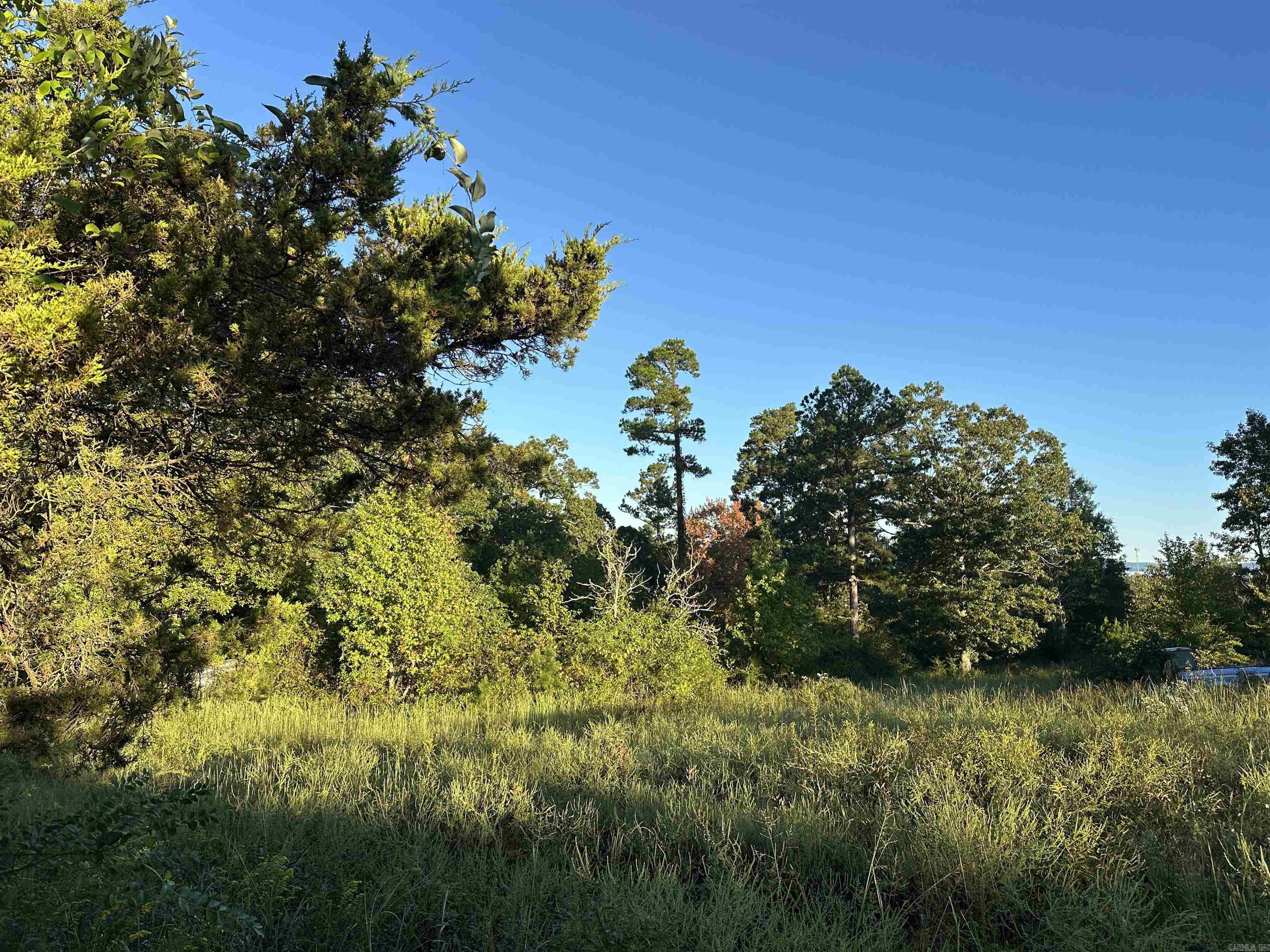 500 Hwy 336  Clinton, AR