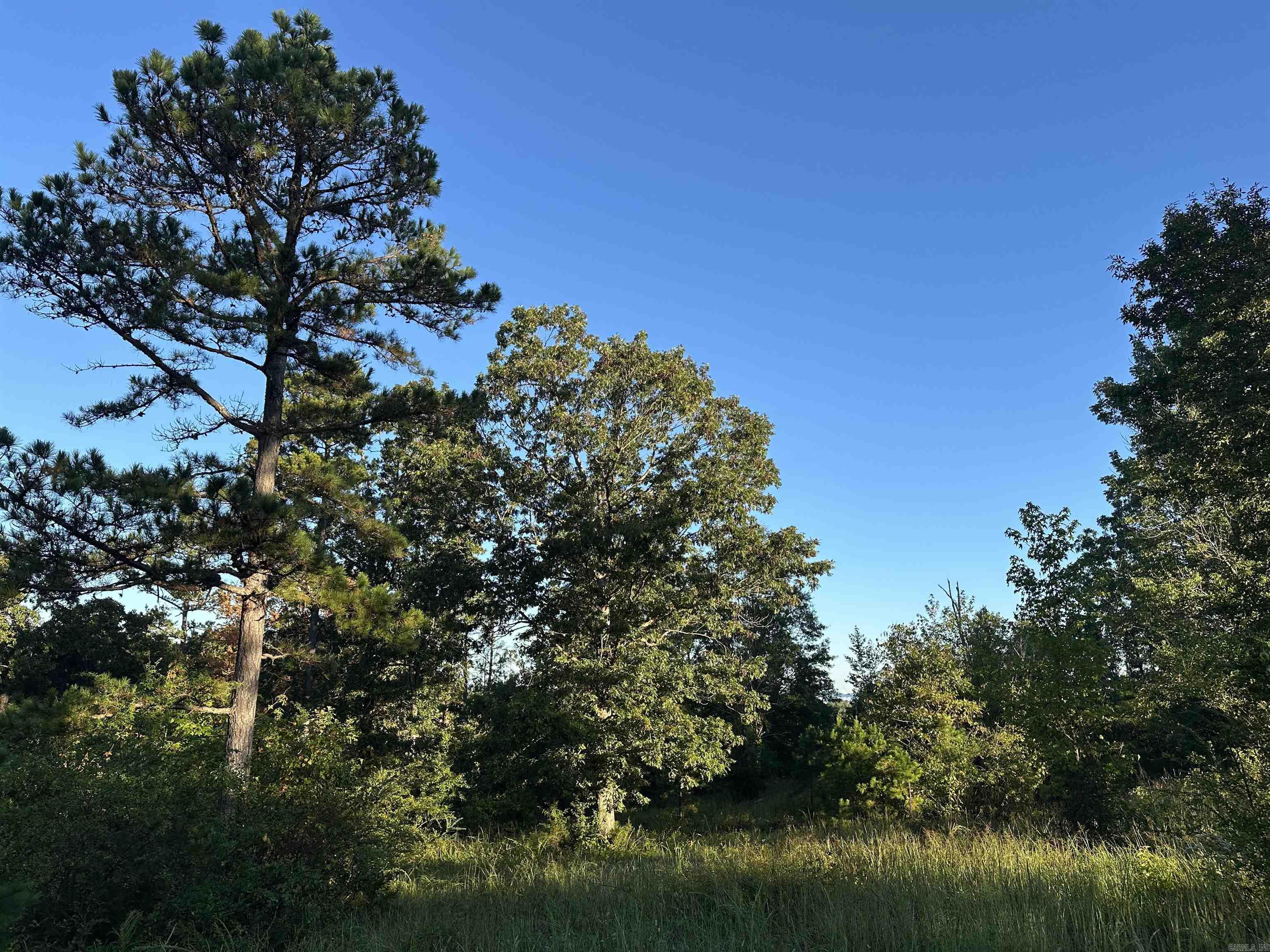 500 Hwy 336  Clinton, AR