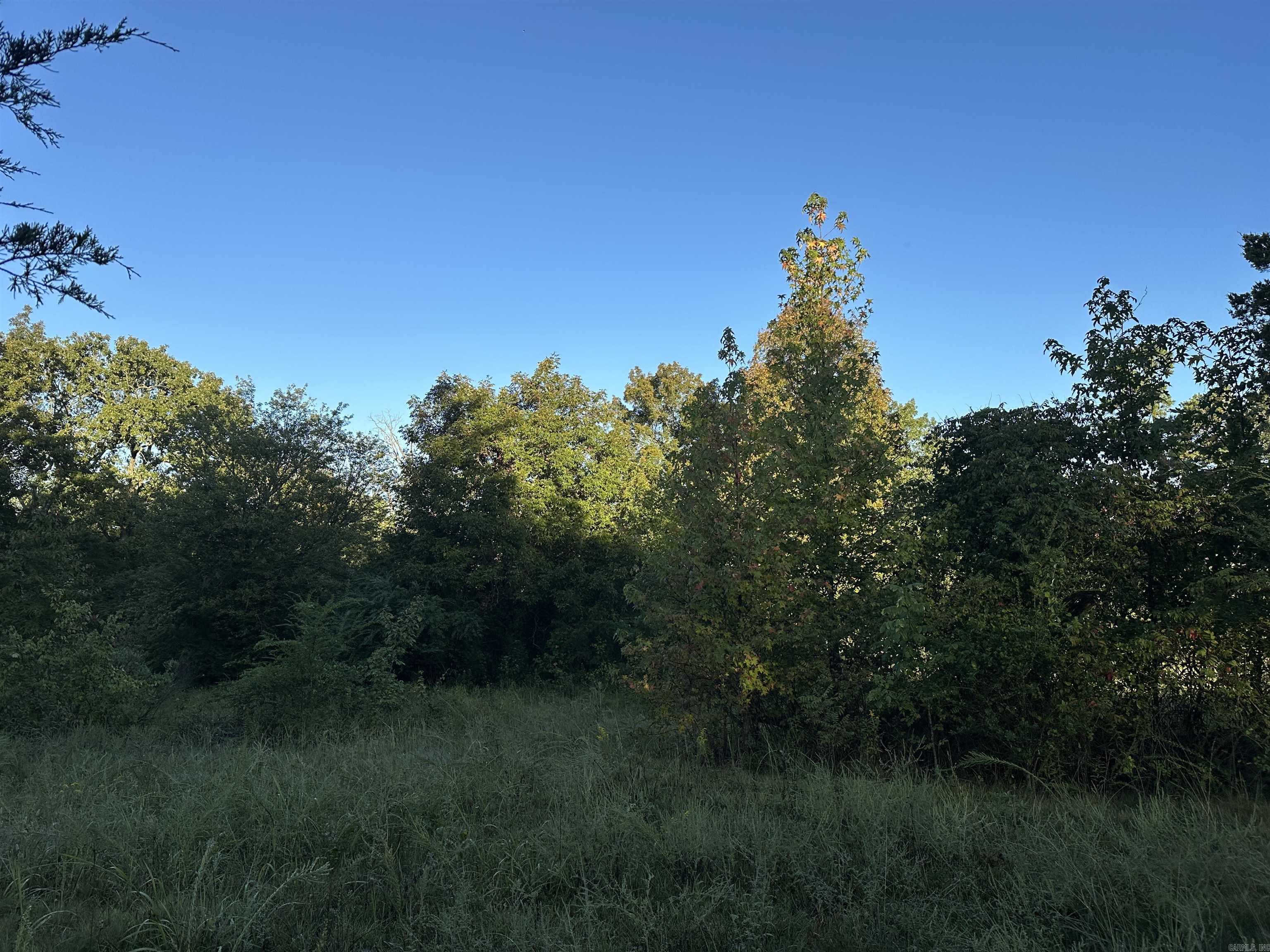 500 Hwy 336  Clinton, AR