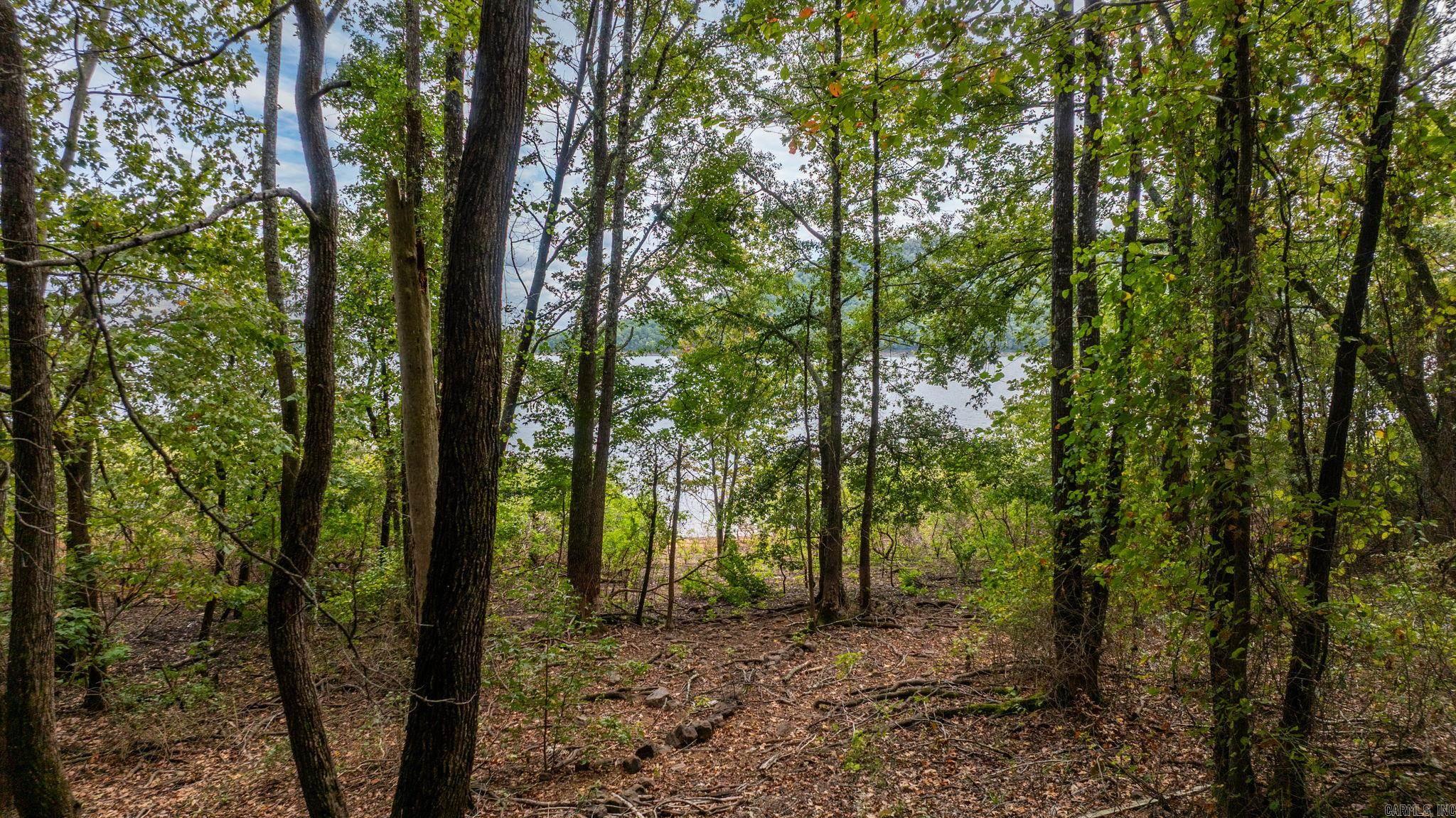 167 Wilshire Drive  Fairfield Bay, AR