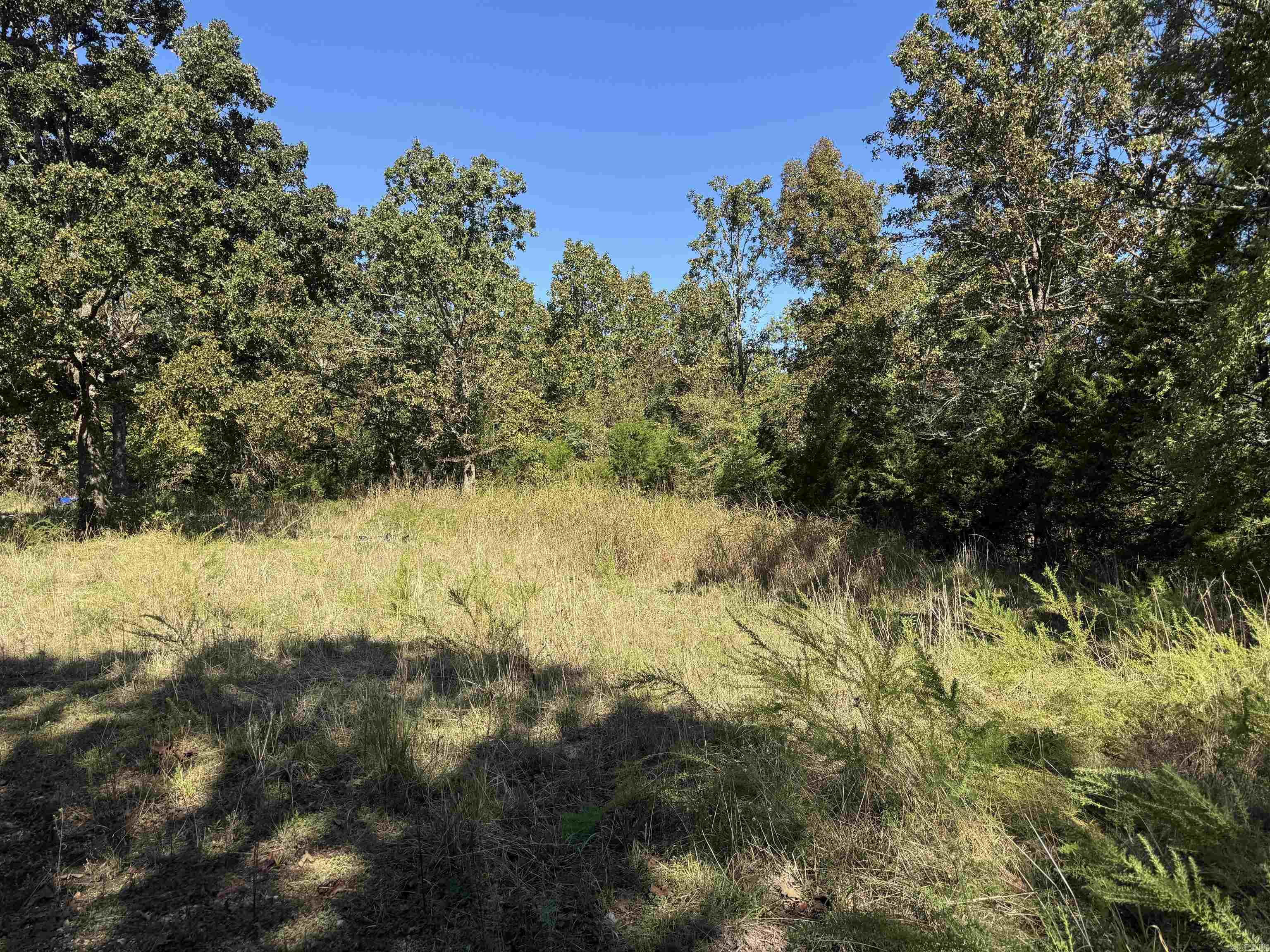 919 Country Spring  Salem, AR