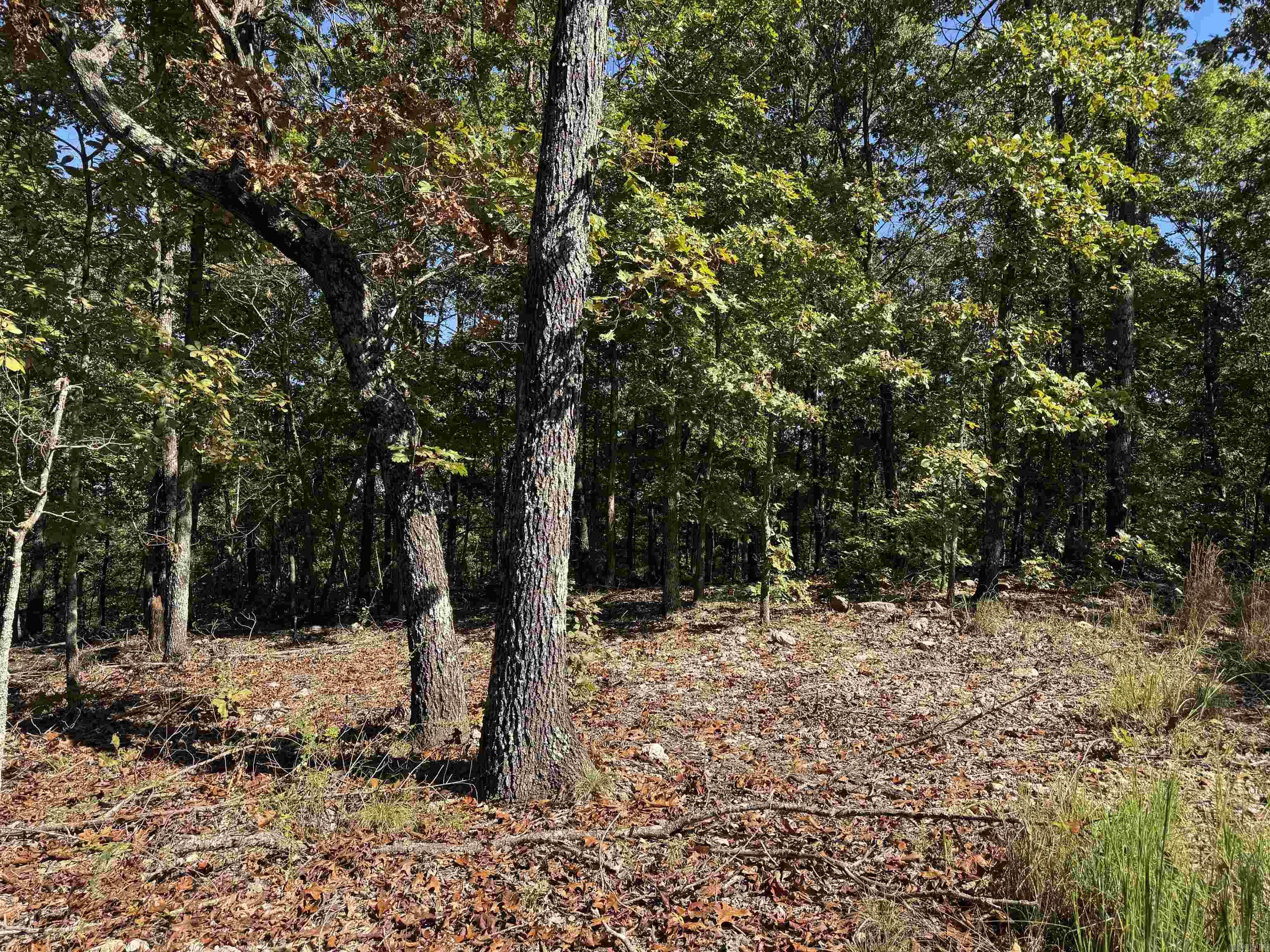 919 Country Spring  Salem, AR