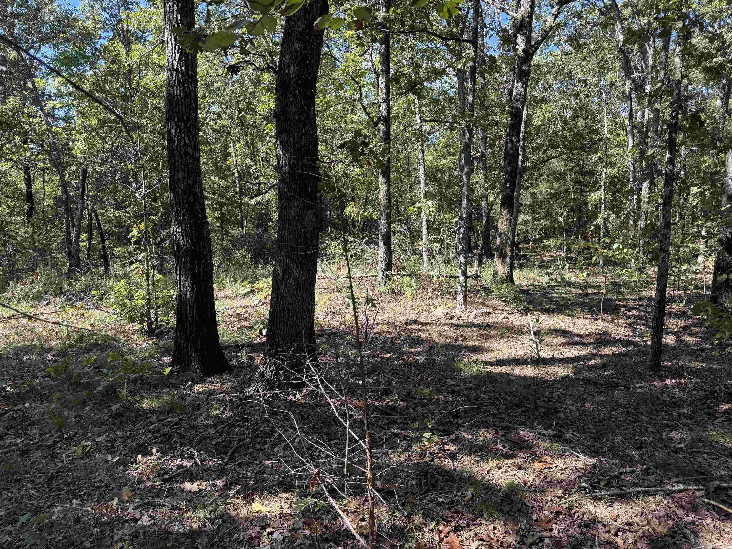 919 Country Spring  Salem, AR