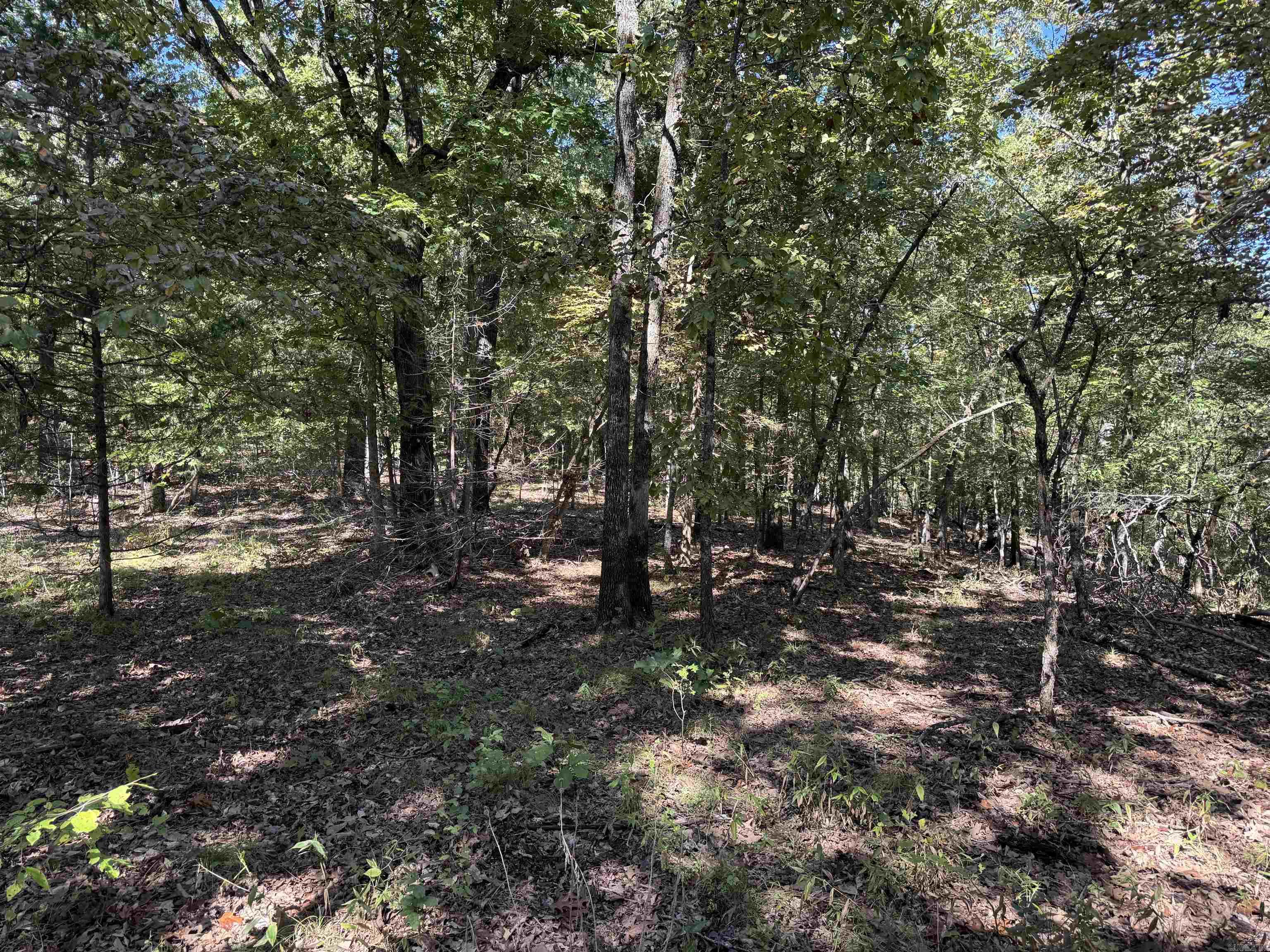 919 Country Spring  Salem, AR