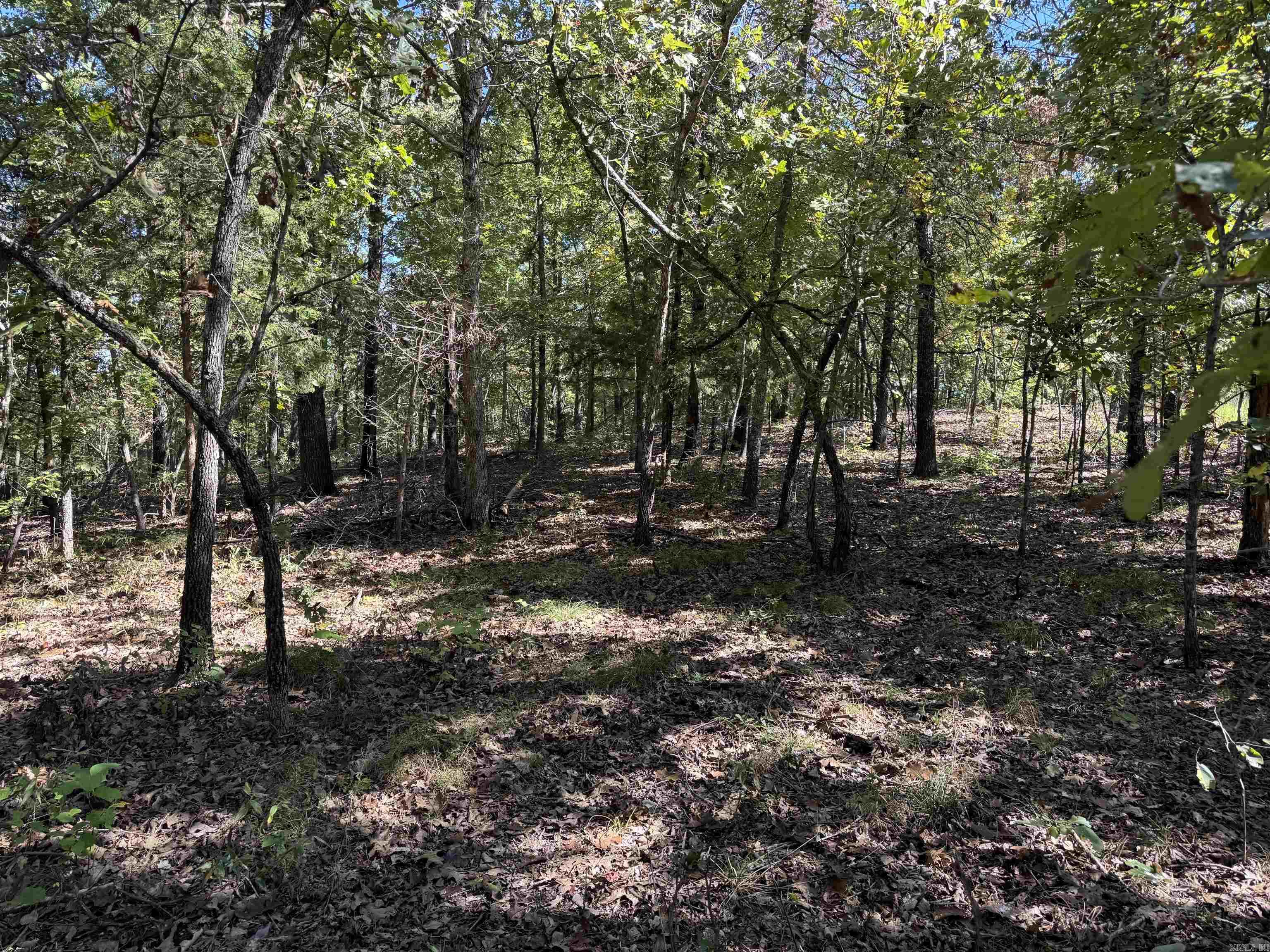 919 Country Spring  Salem, AR
