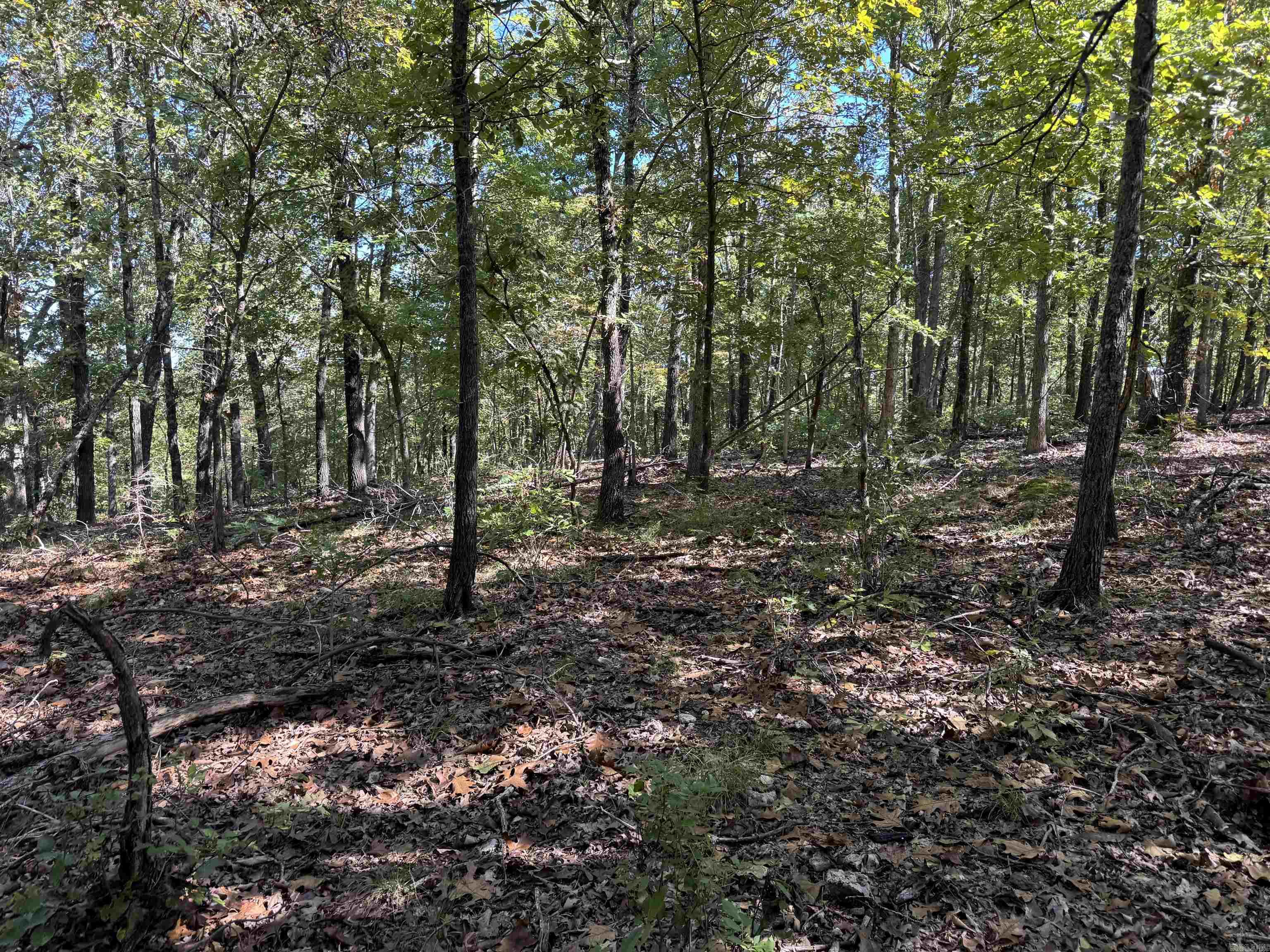 919 Country Spring  Salem, AR