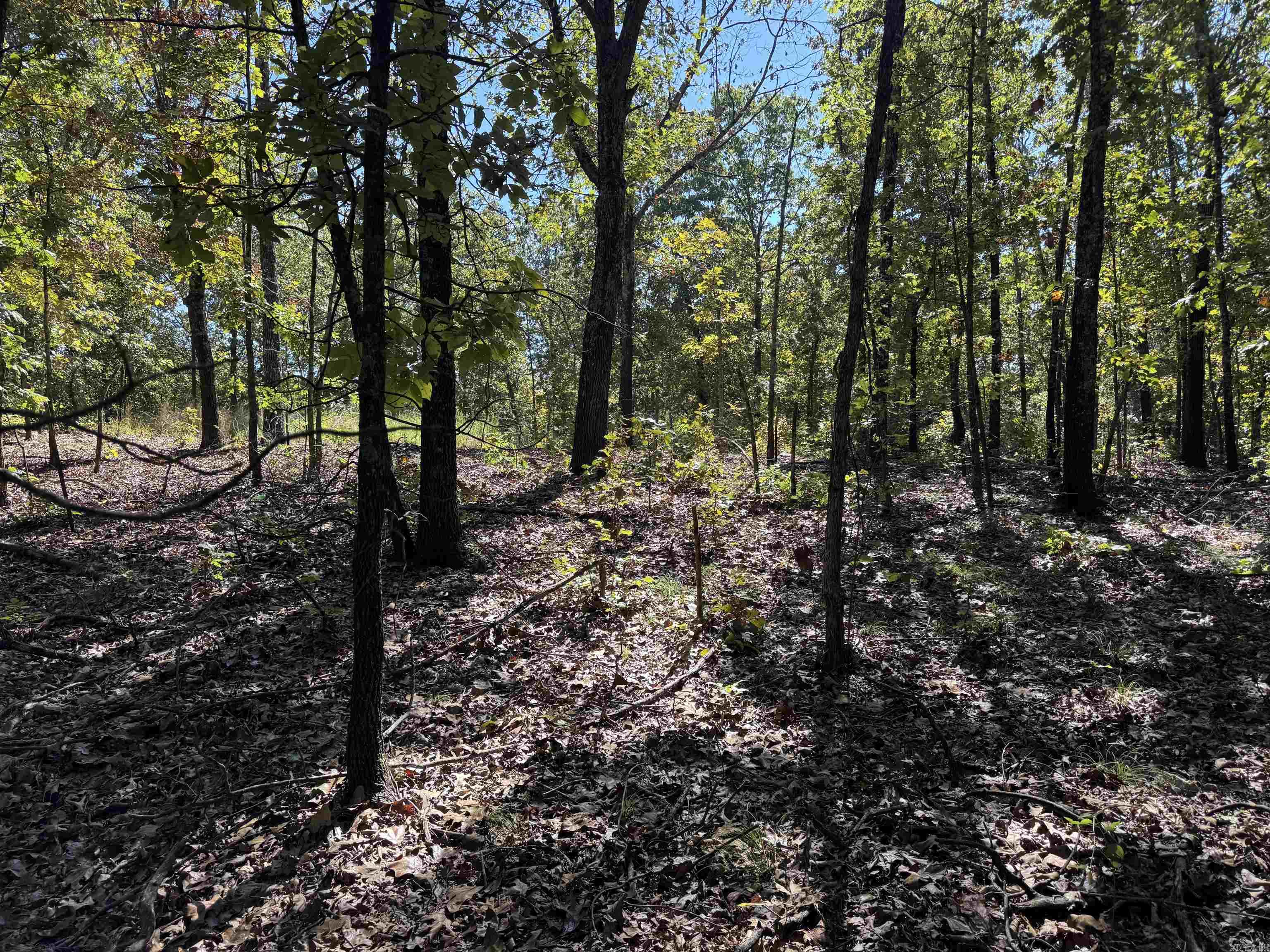 919 Country Spring  Salem, AR