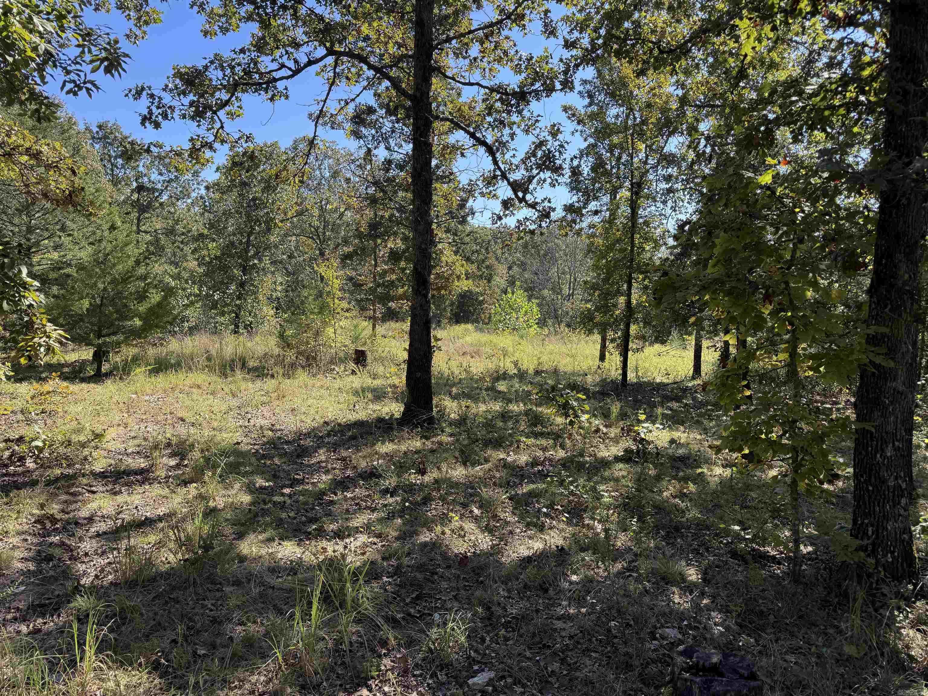 919 Country Spring  Salem, AR