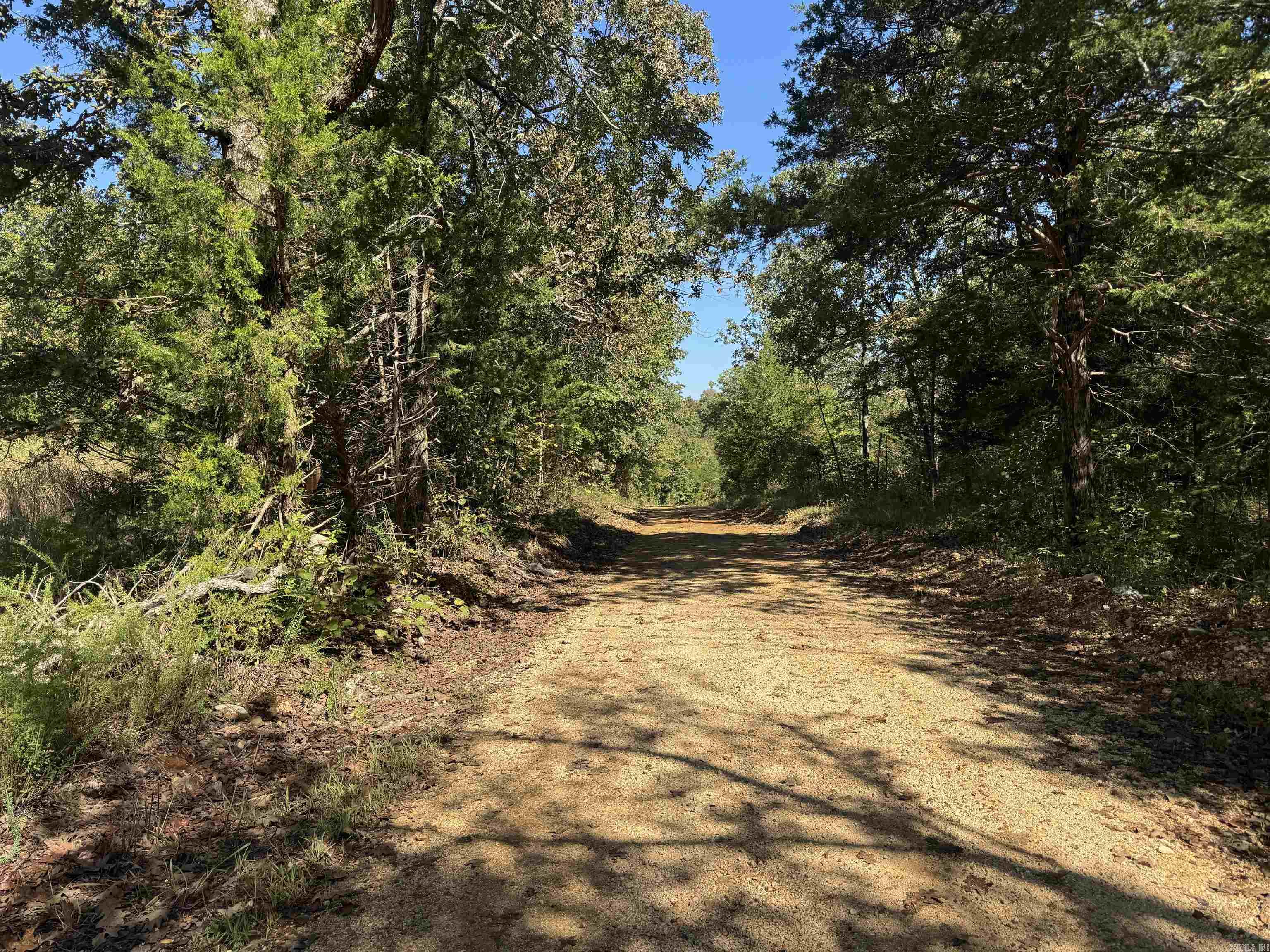 919 Country Spring  Salem, AR