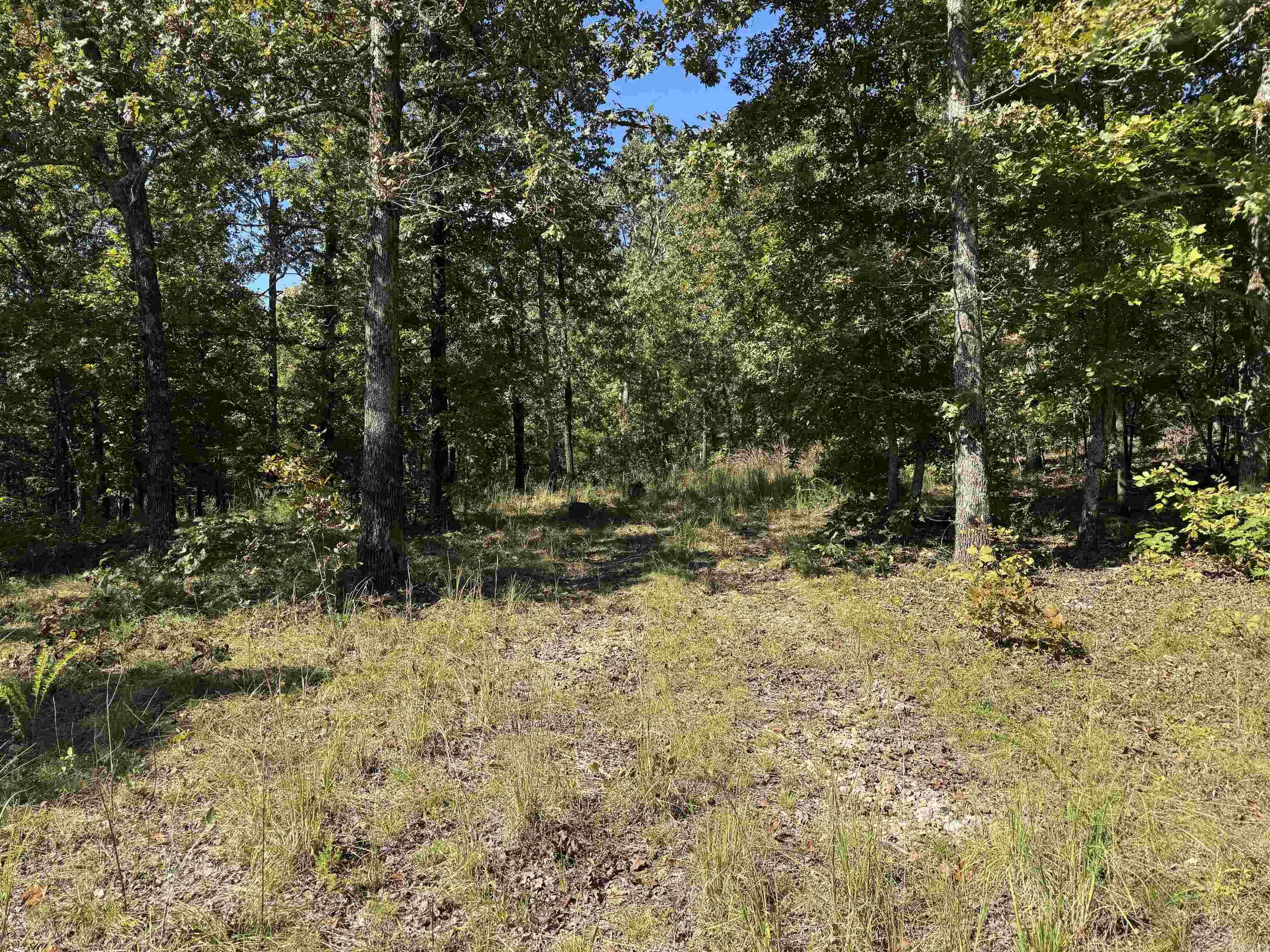 919 Country Spring  Salem, AR