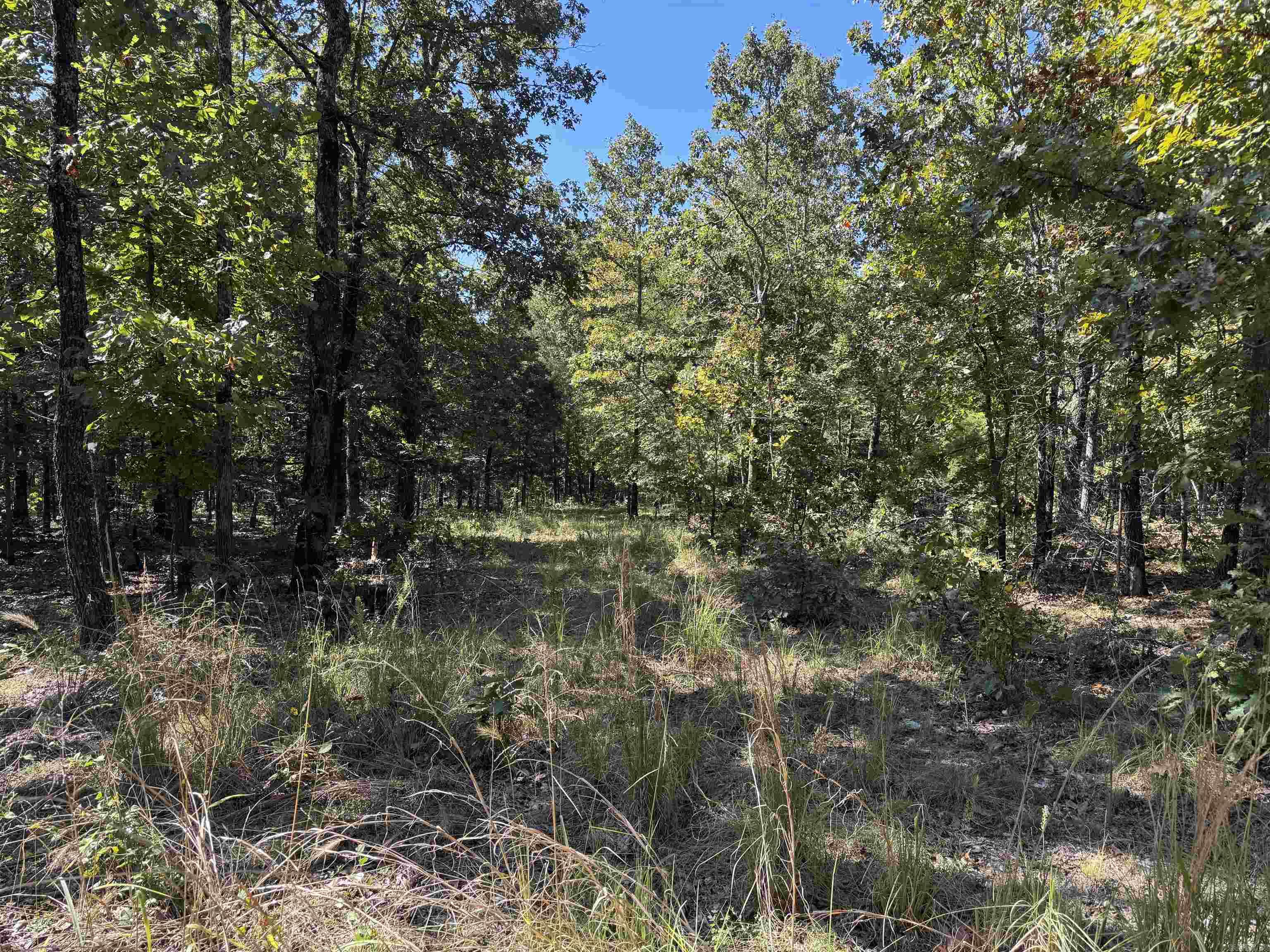 919 Country Spring  Salem, AR