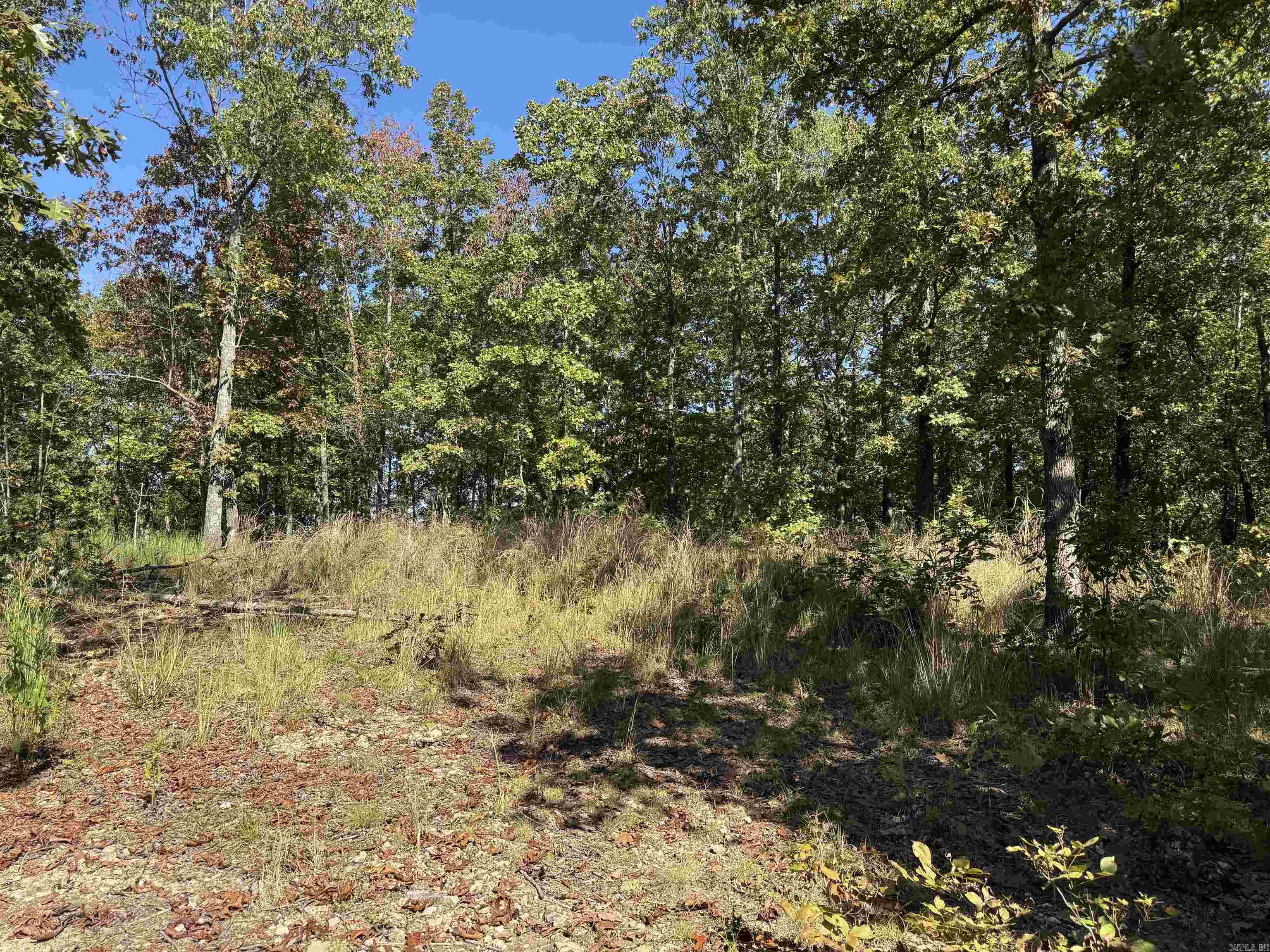 919 Country Spring  Salem, AR
