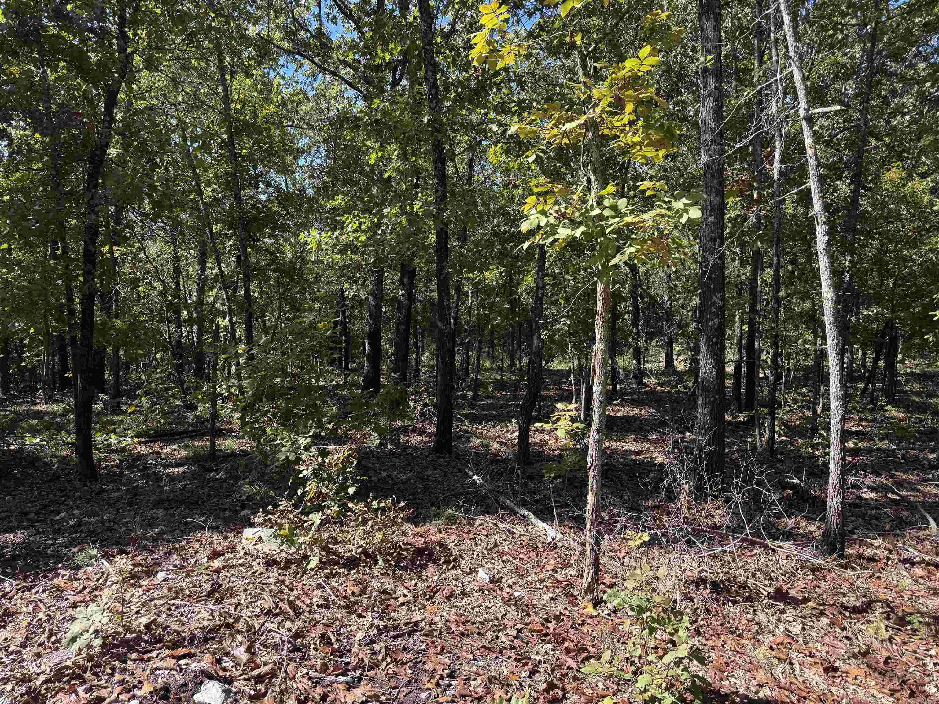 919 Country Spring  Salem, AR
