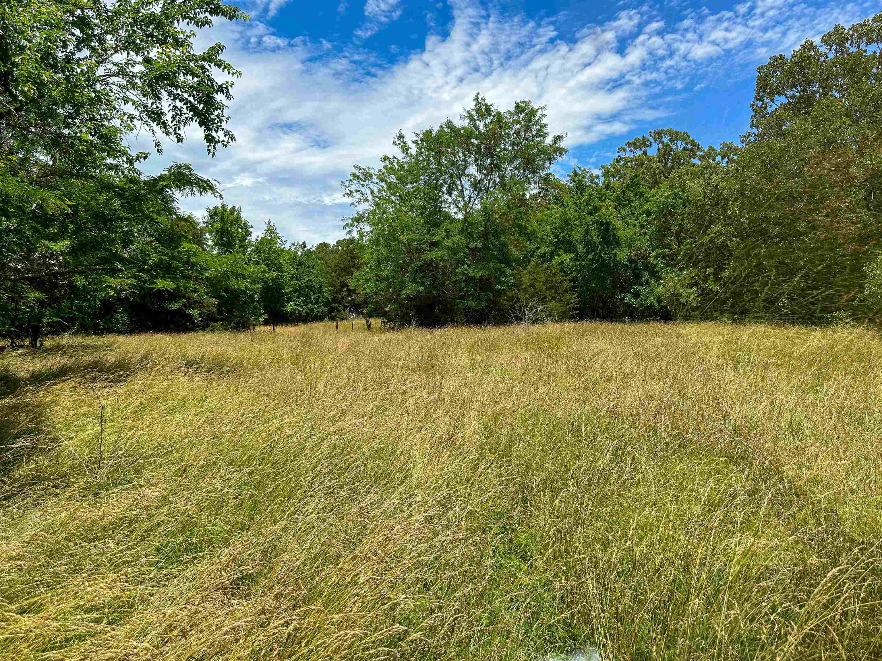 4115 Johnson View  Wiseman, AR