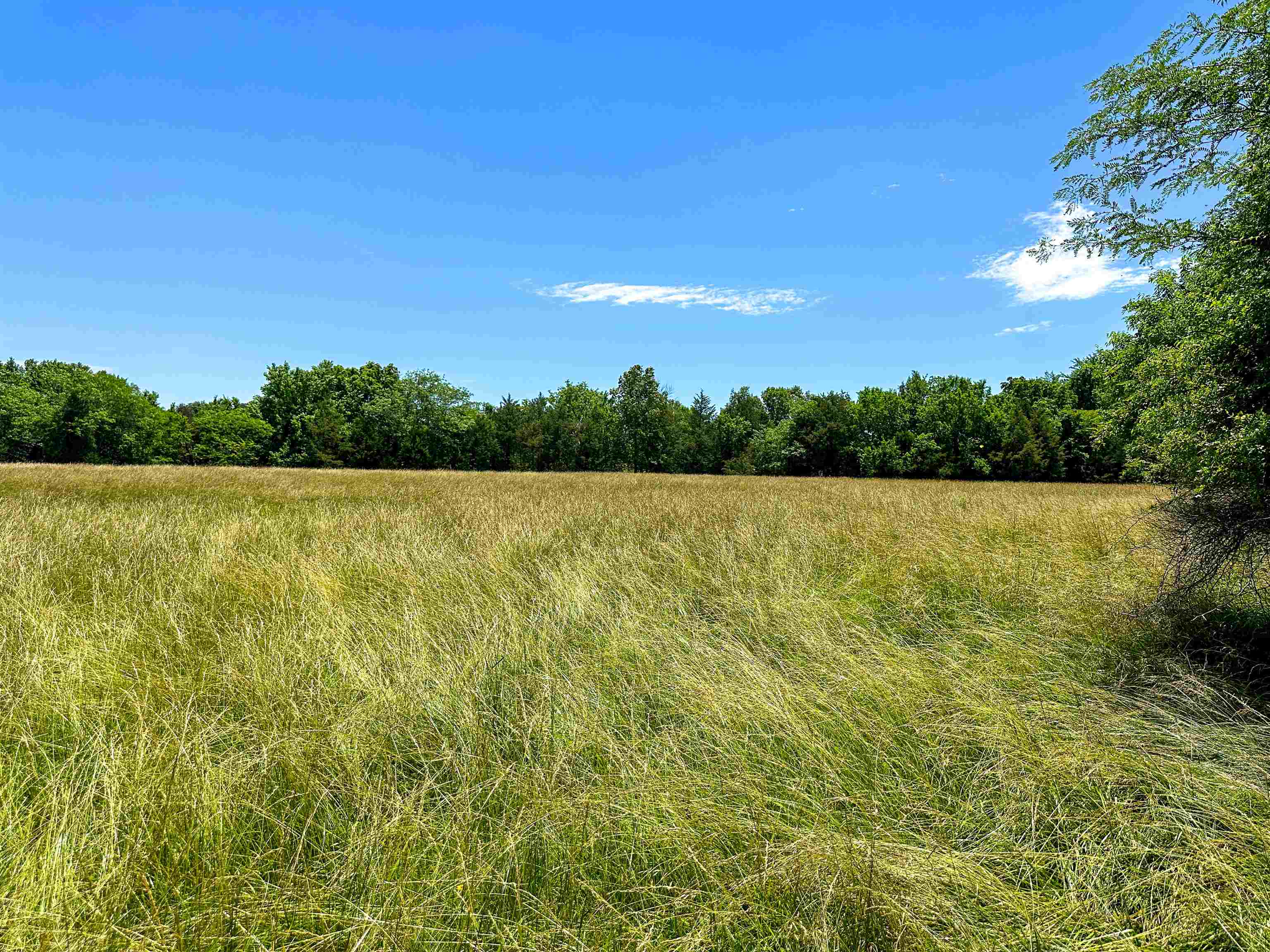 4115 Johnson View  Wiseman, AR