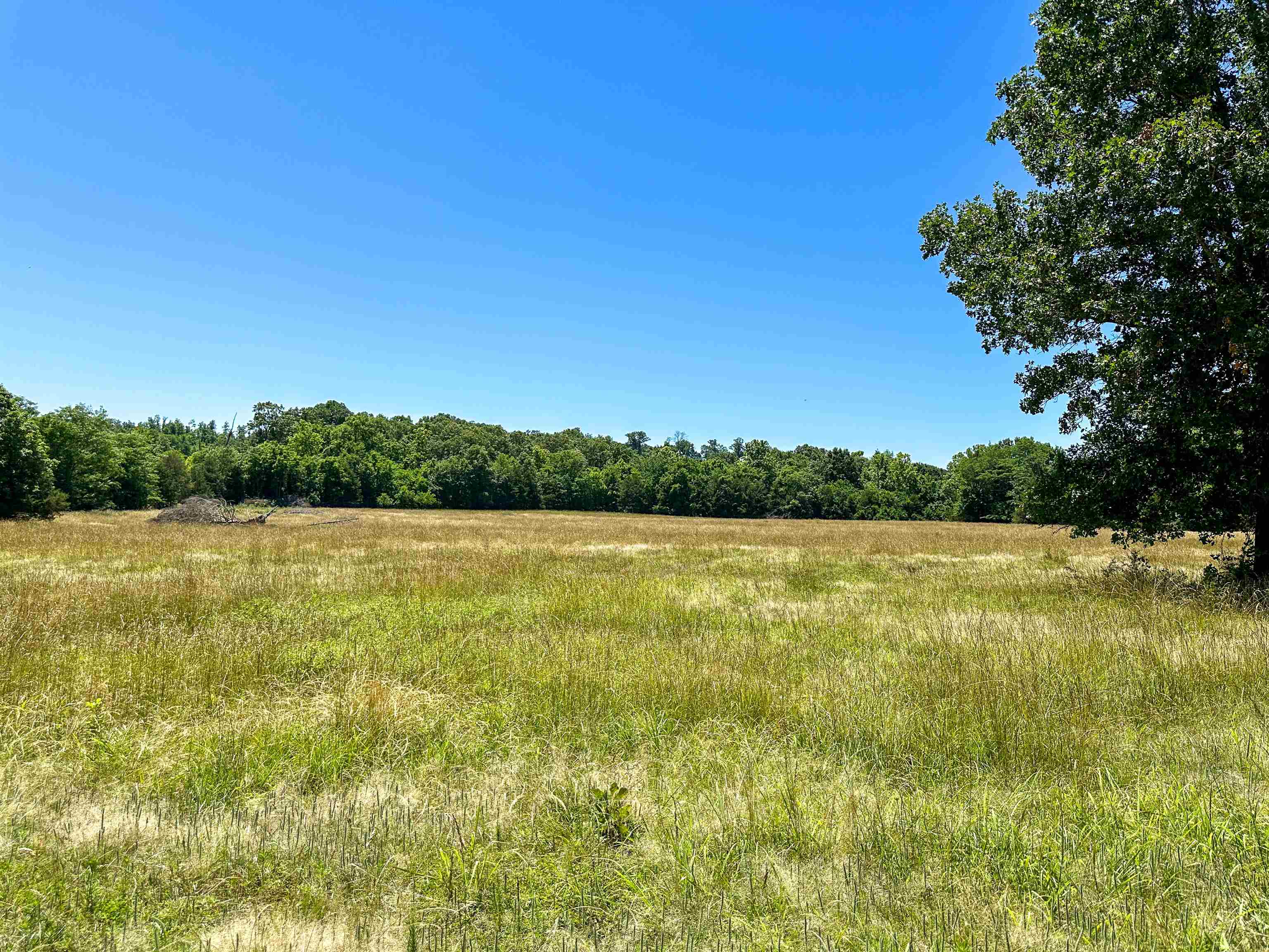 4115 Johnson View  Wiseman, AR