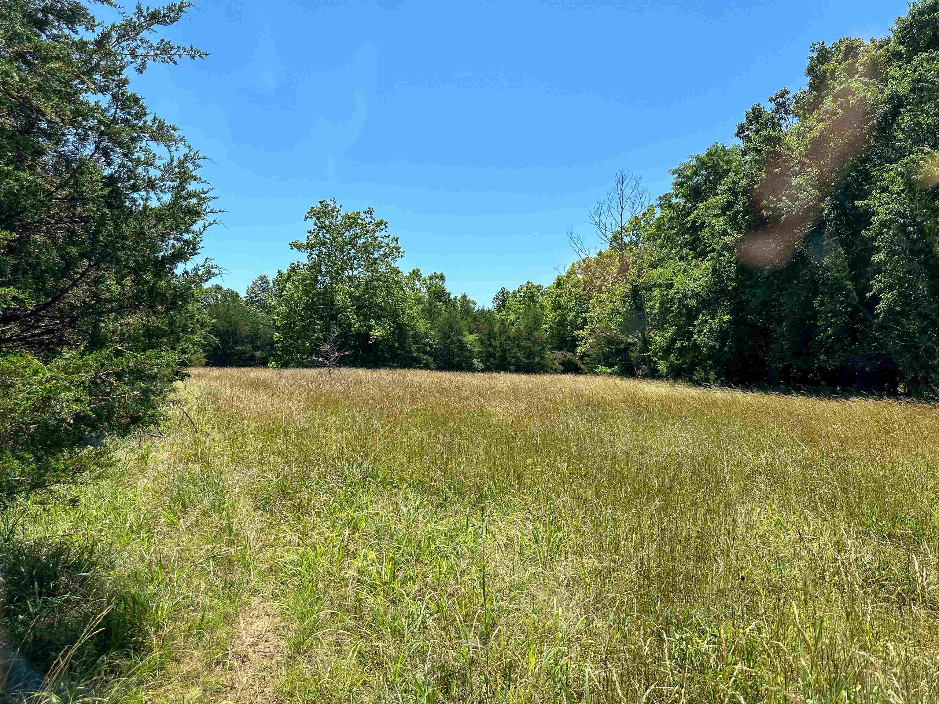 4115 Johnson View  Wiseman, AR