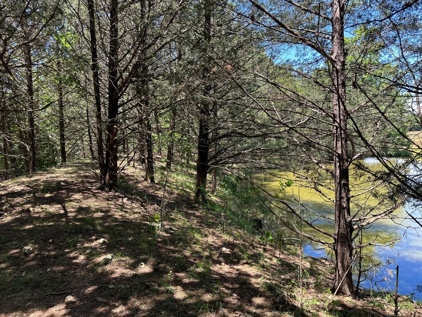 4115 Johnson View  Wiseman, AR
