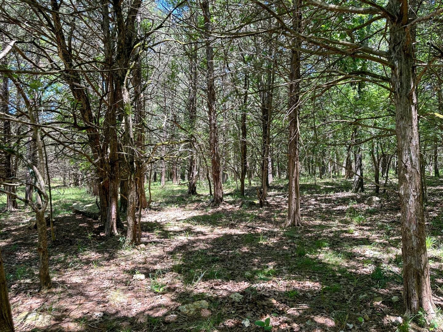 4115 Johnson View  Wiseman, AR