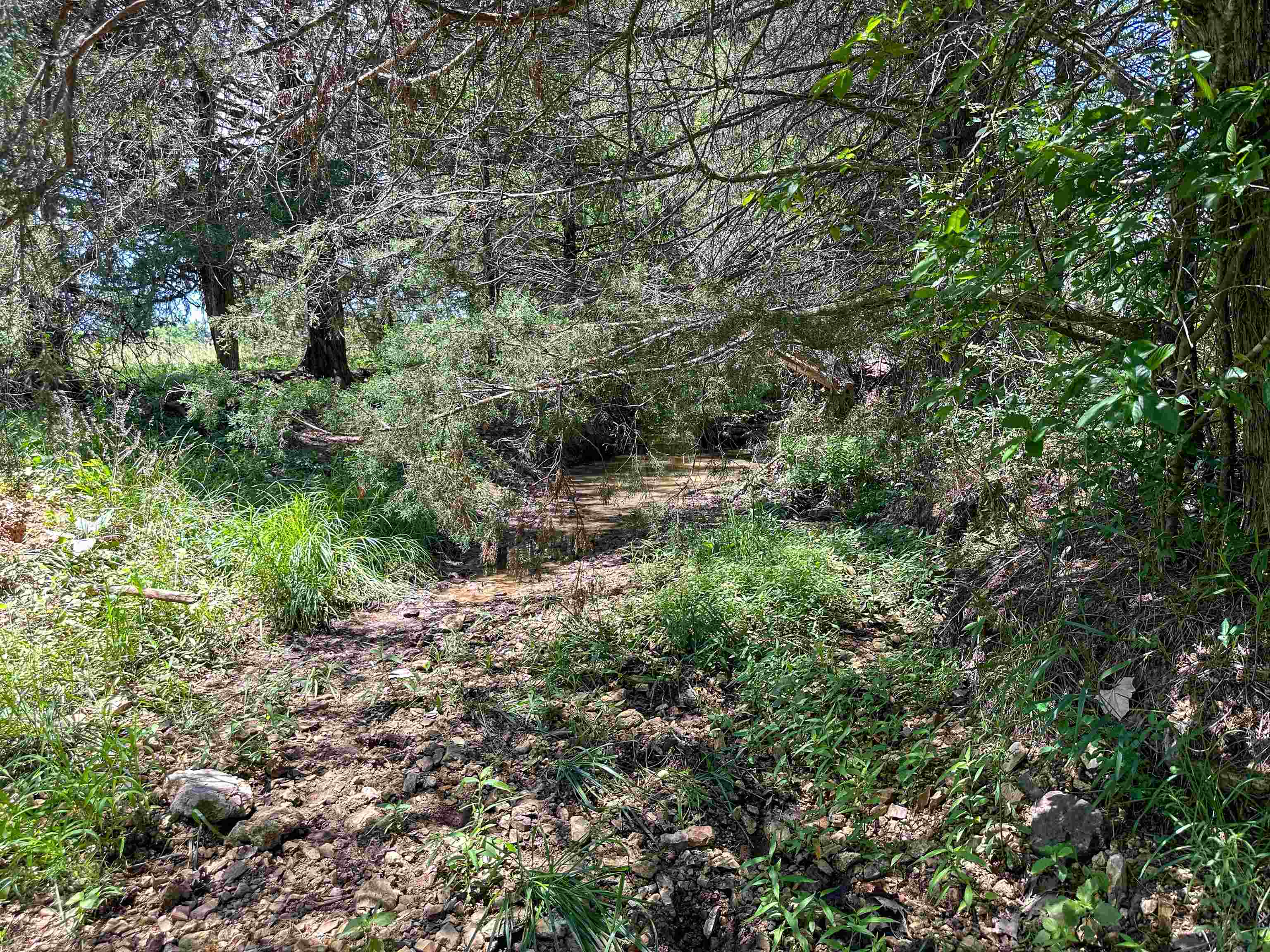 4115 Johnson View  Wiseman, AR