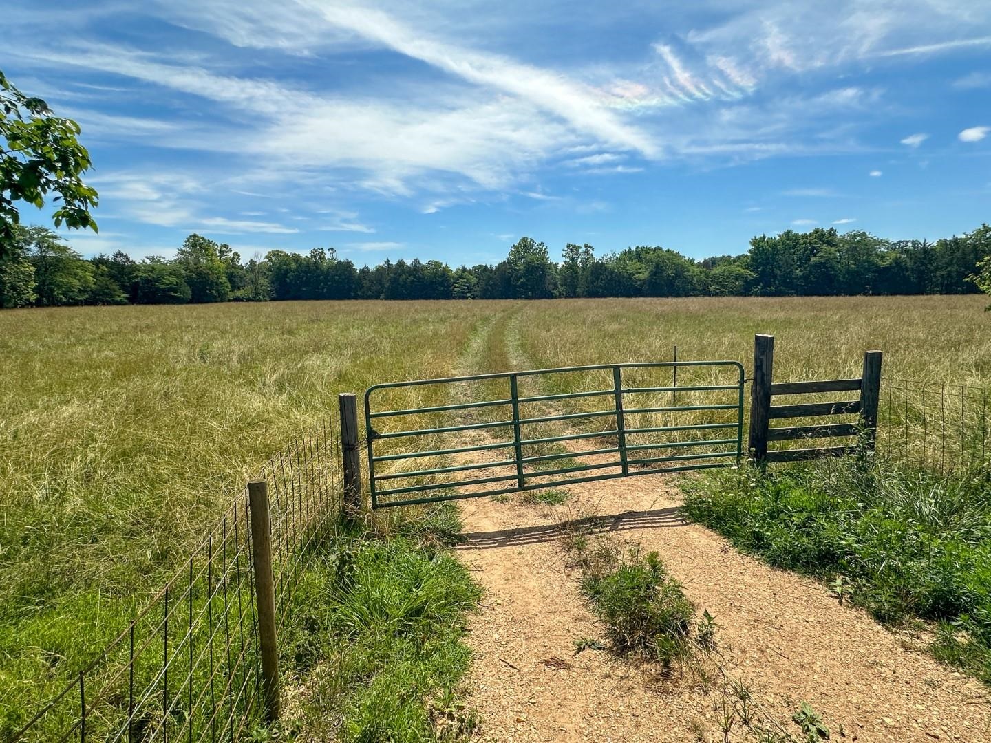 4115 Johnson View  Wiseman, AR