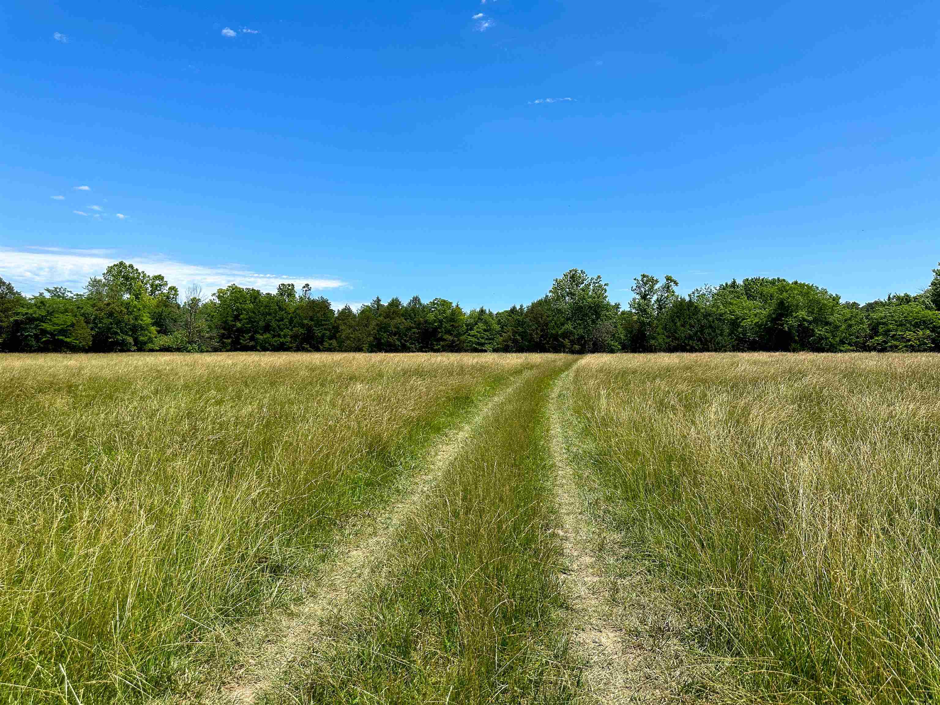 4115 Johnson View  Wiseman, AR