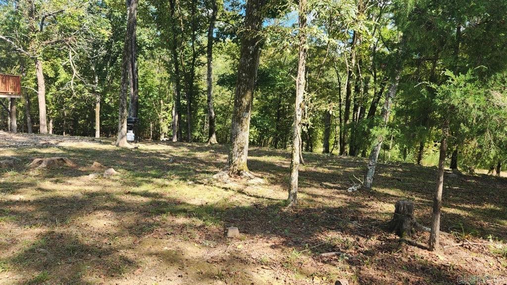 20 Reva's Retreat Way  Story, AR