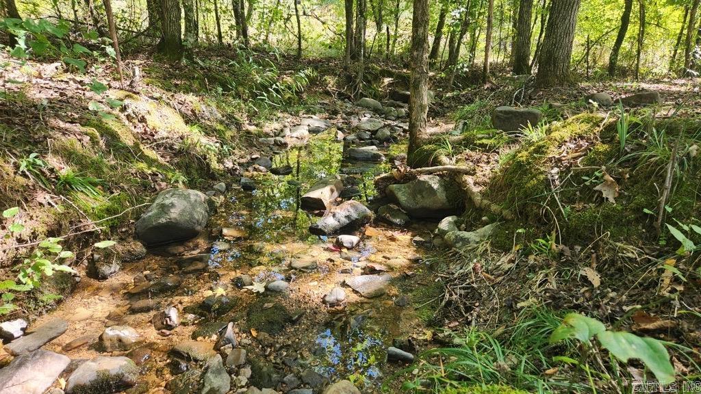 20 Reva's Retreat Way  Story, AR