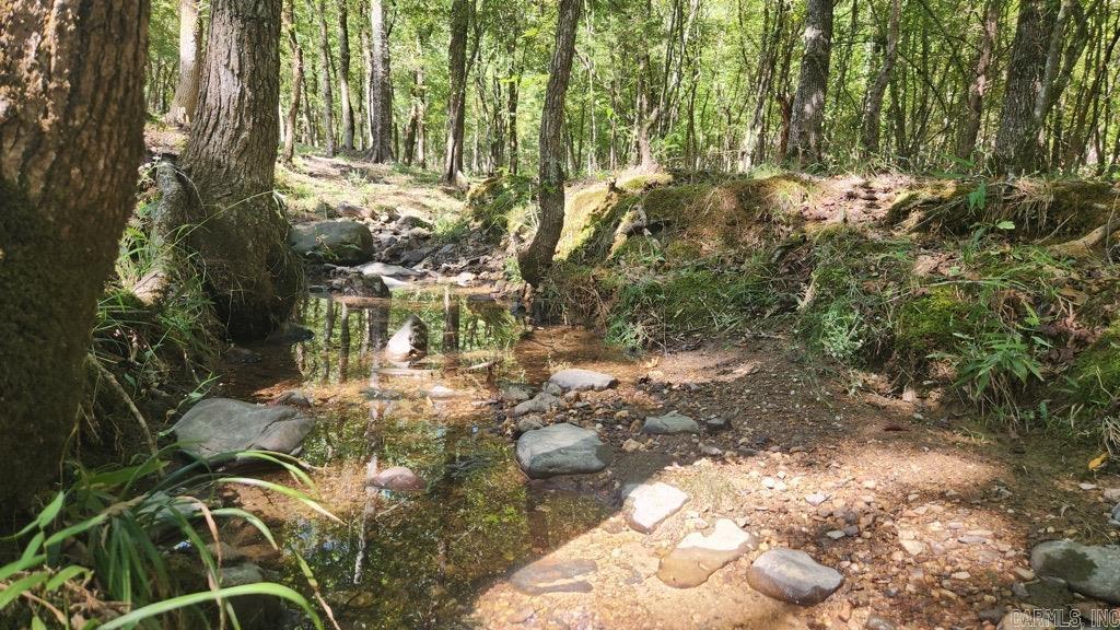 20 Reva's Retreat Way  Story, AR