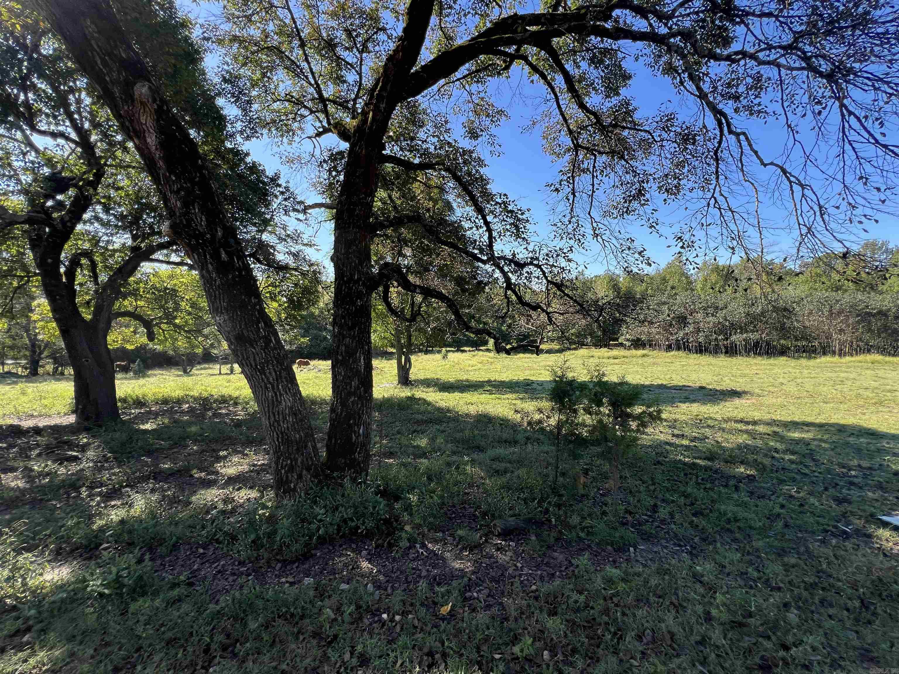 1259 hopper loop  Caddo Gap, AR