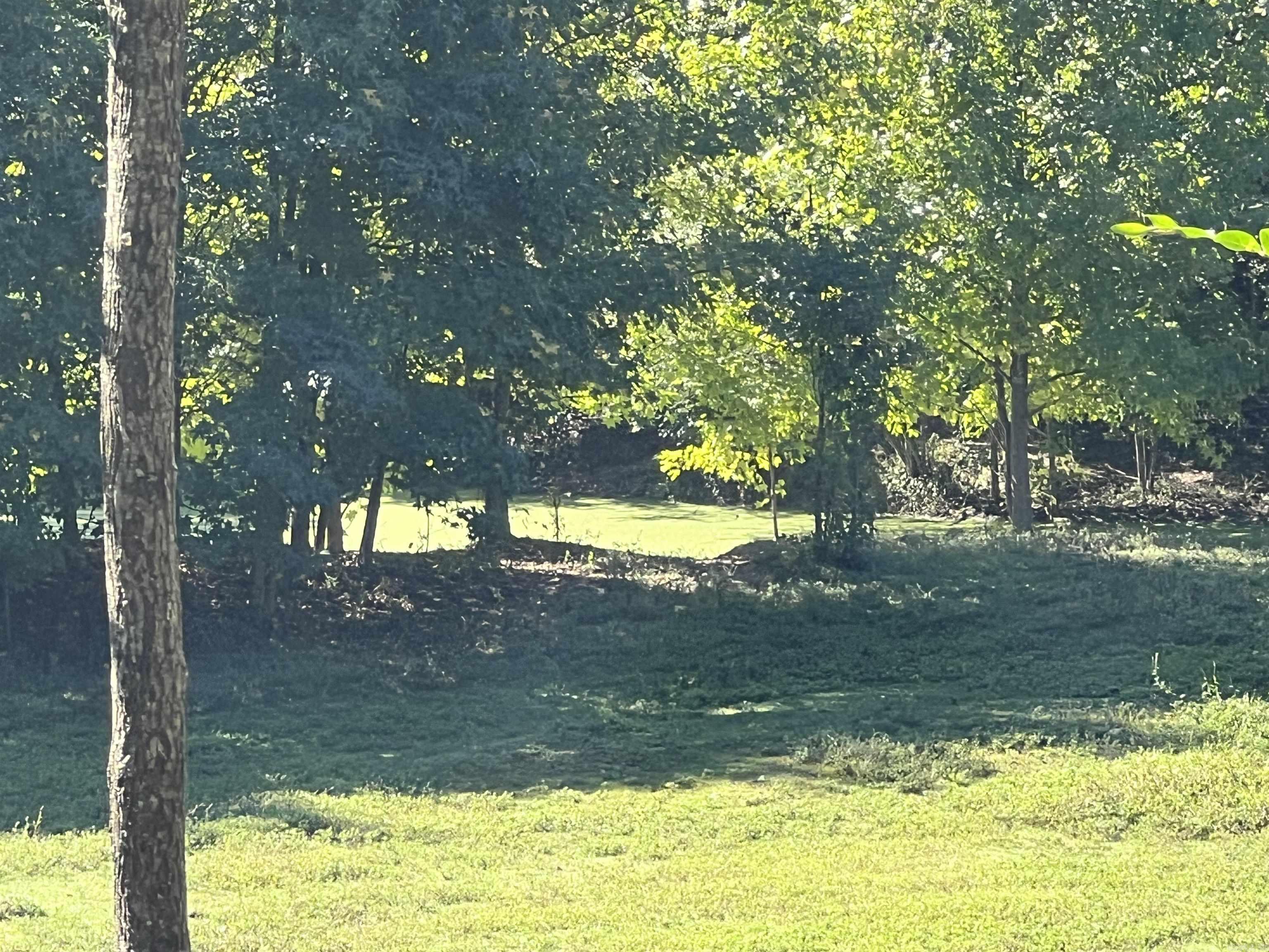 1259 hopper loop  Caddo Gap, AR