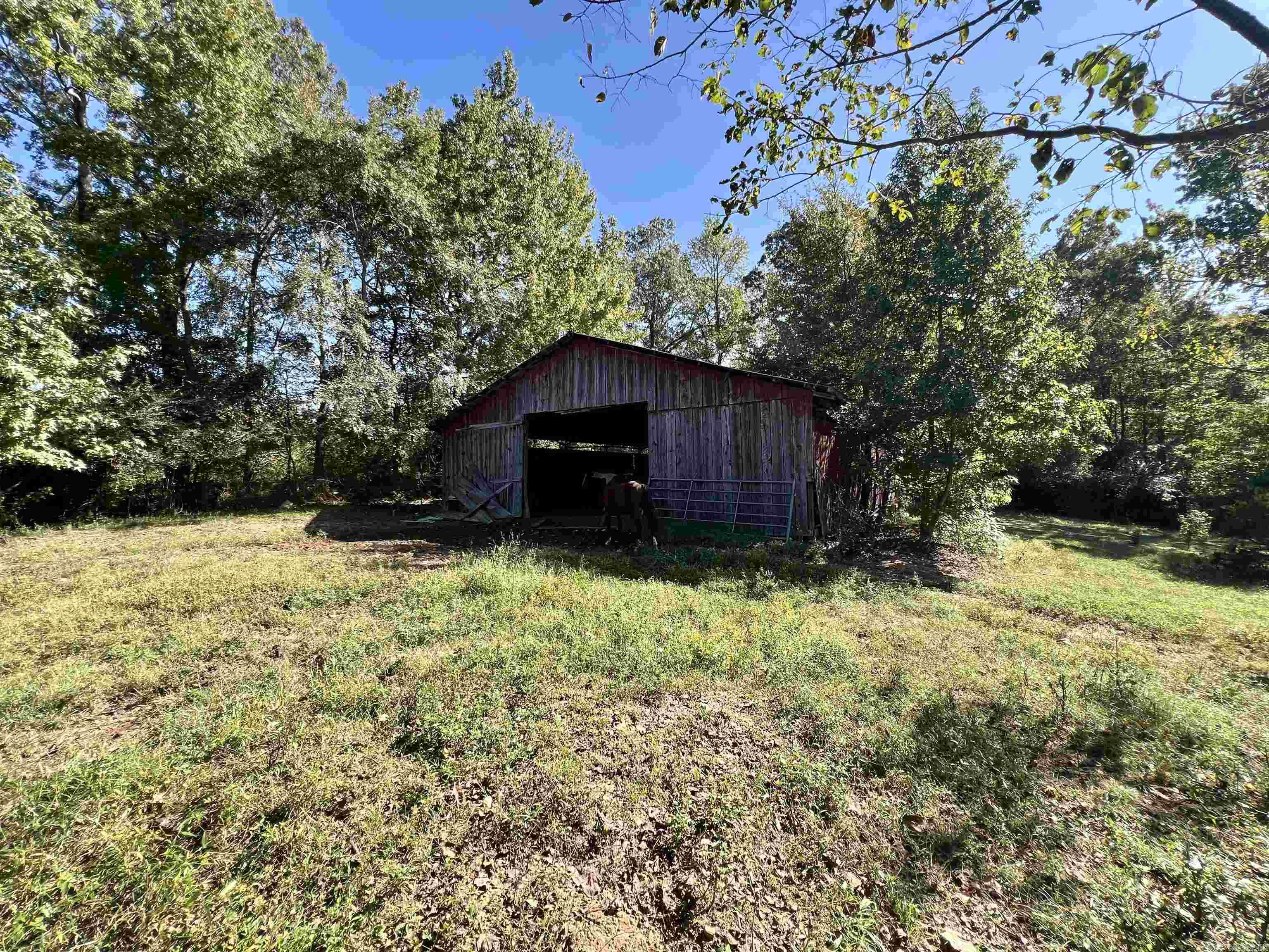 1259 hopper loop  Caddo Gap, AR