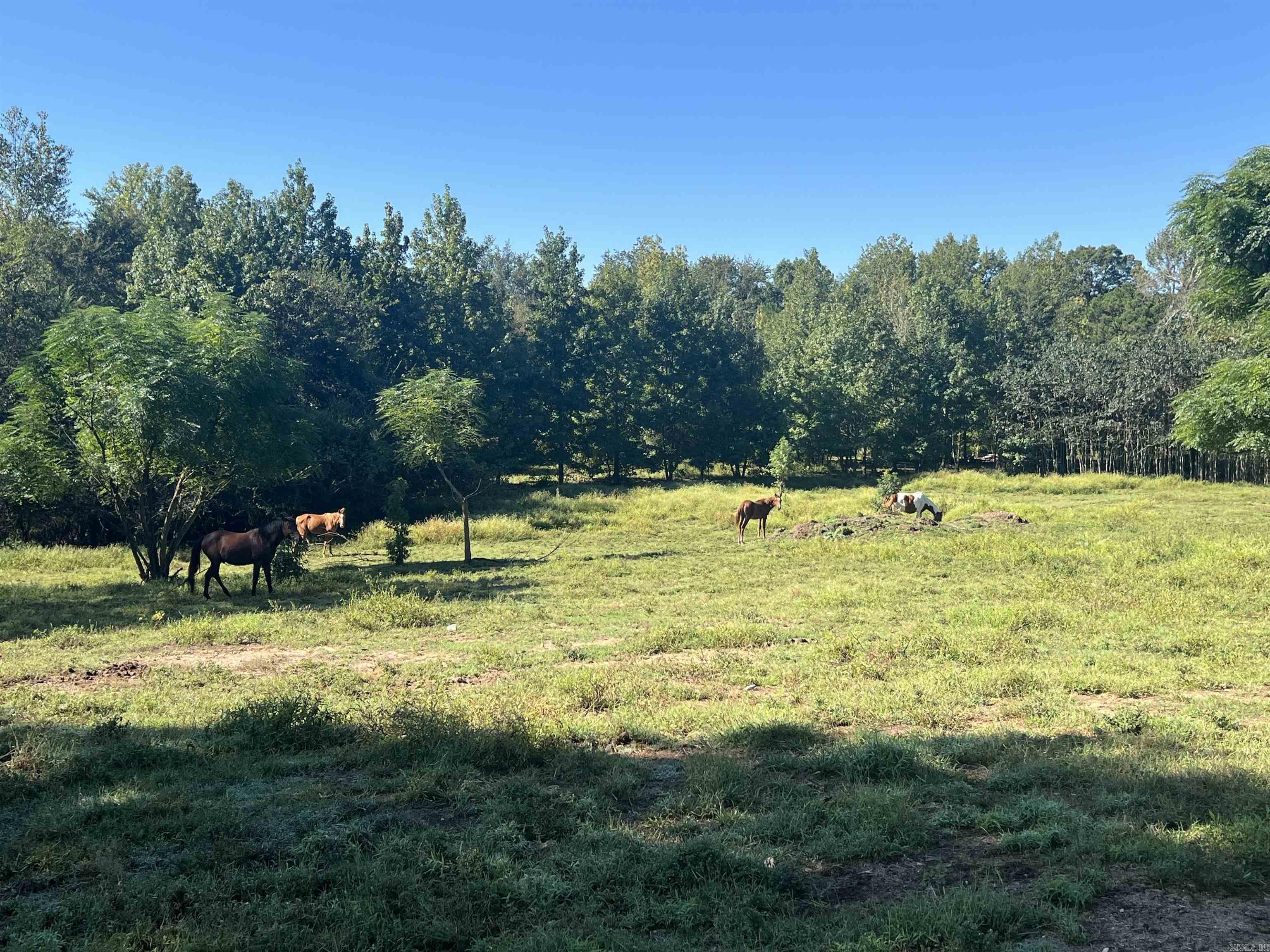 1259 hopper loop  Caddo Gap, AR