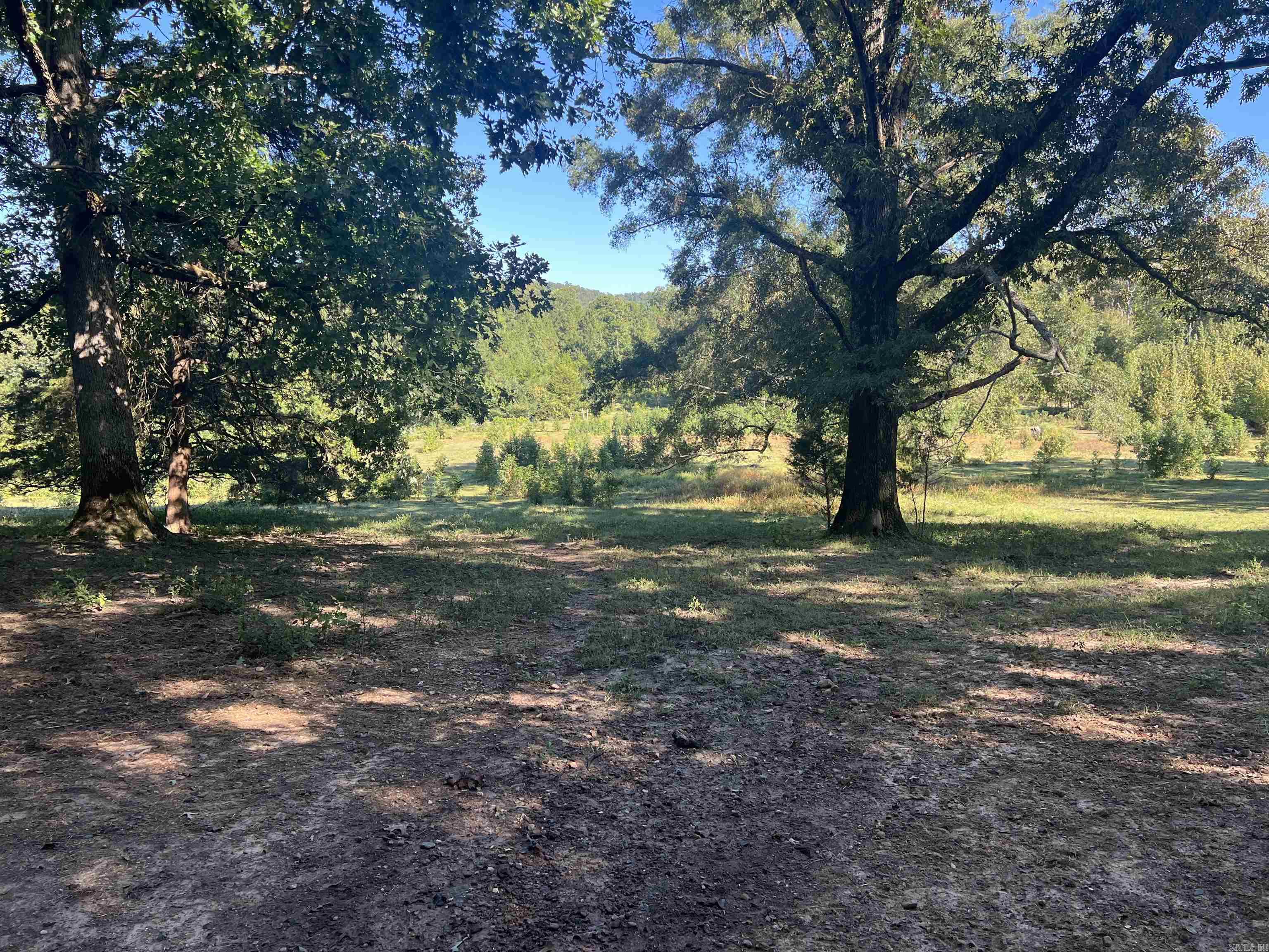 1259 hopper loop  Caddo Gap, AR