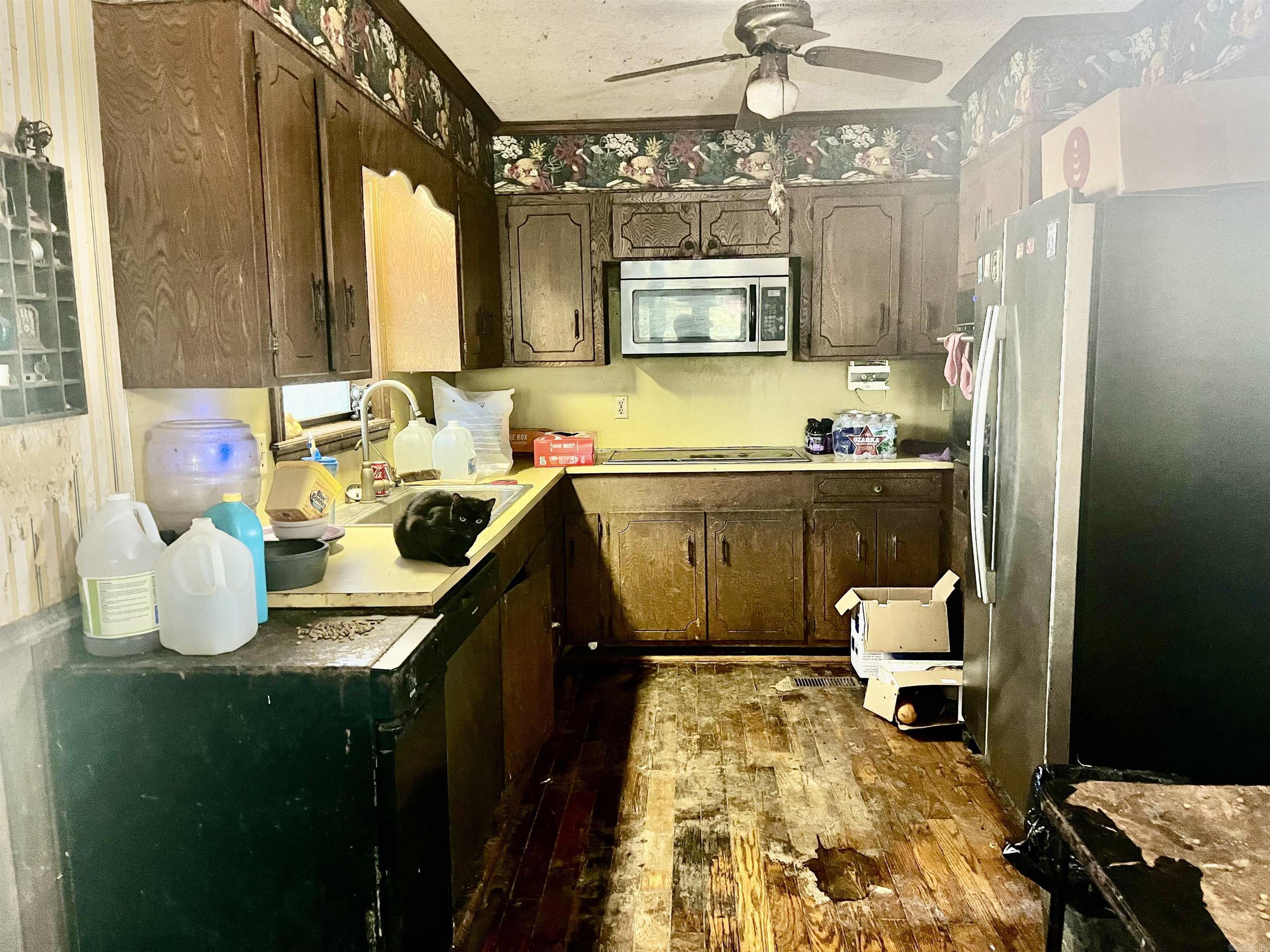1259 hopper loop  Caddo Gap, AR
