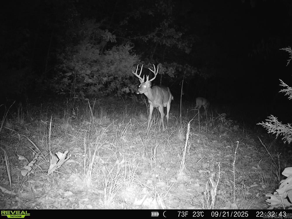 129589 N Highway 63  Hardy, AR