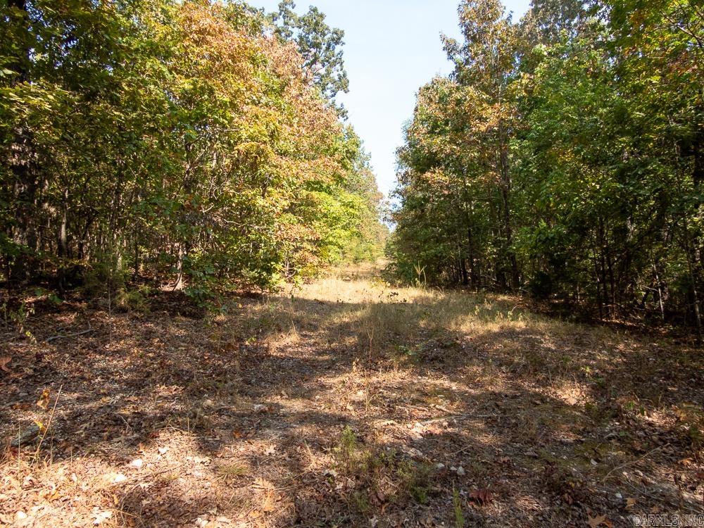 129589 N Highway 63  Hardy, AR