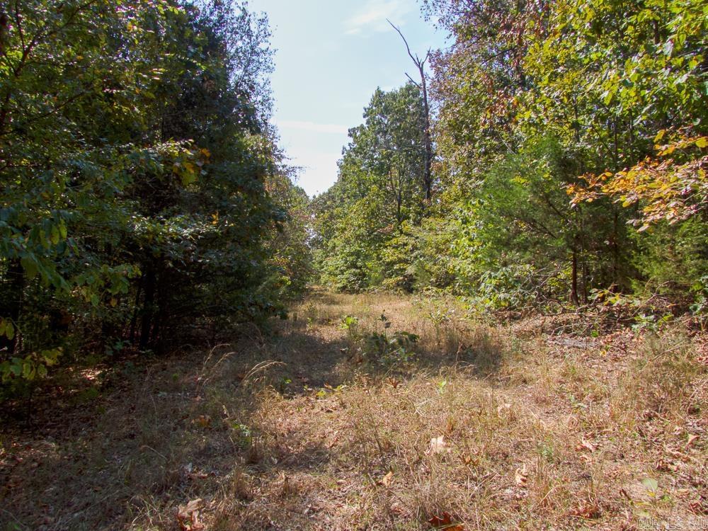 129589 N Highway 63  Hardy, AR