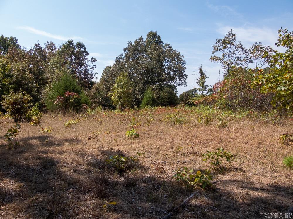 129589 N Highway 63  Hardy, AR