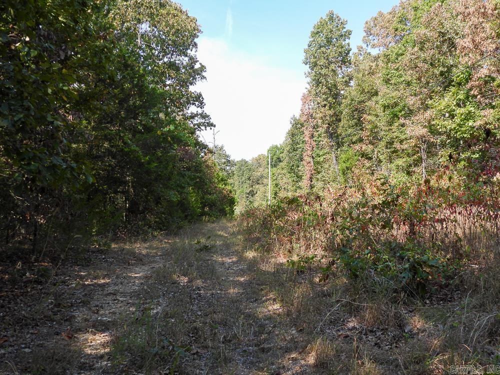 129589 N Highway 63  Hardy, AR
