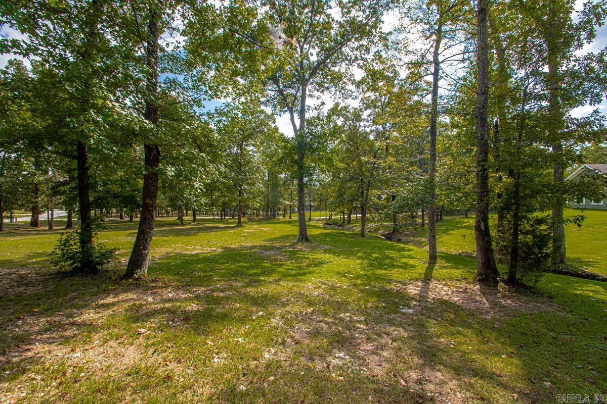 1115 Brookhaven  Alexander, AR