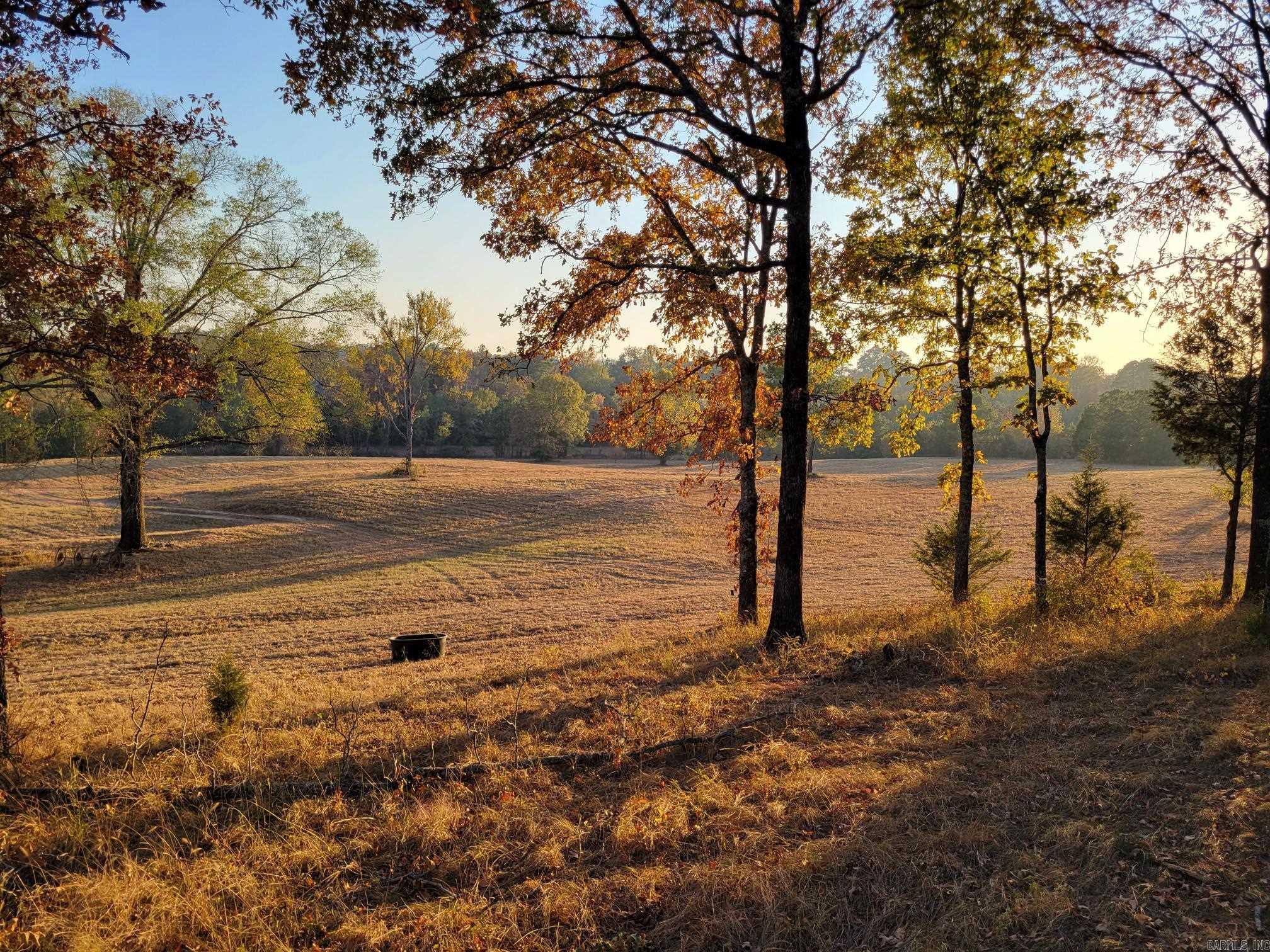 2076 Bob Hall  Donaldson, AR