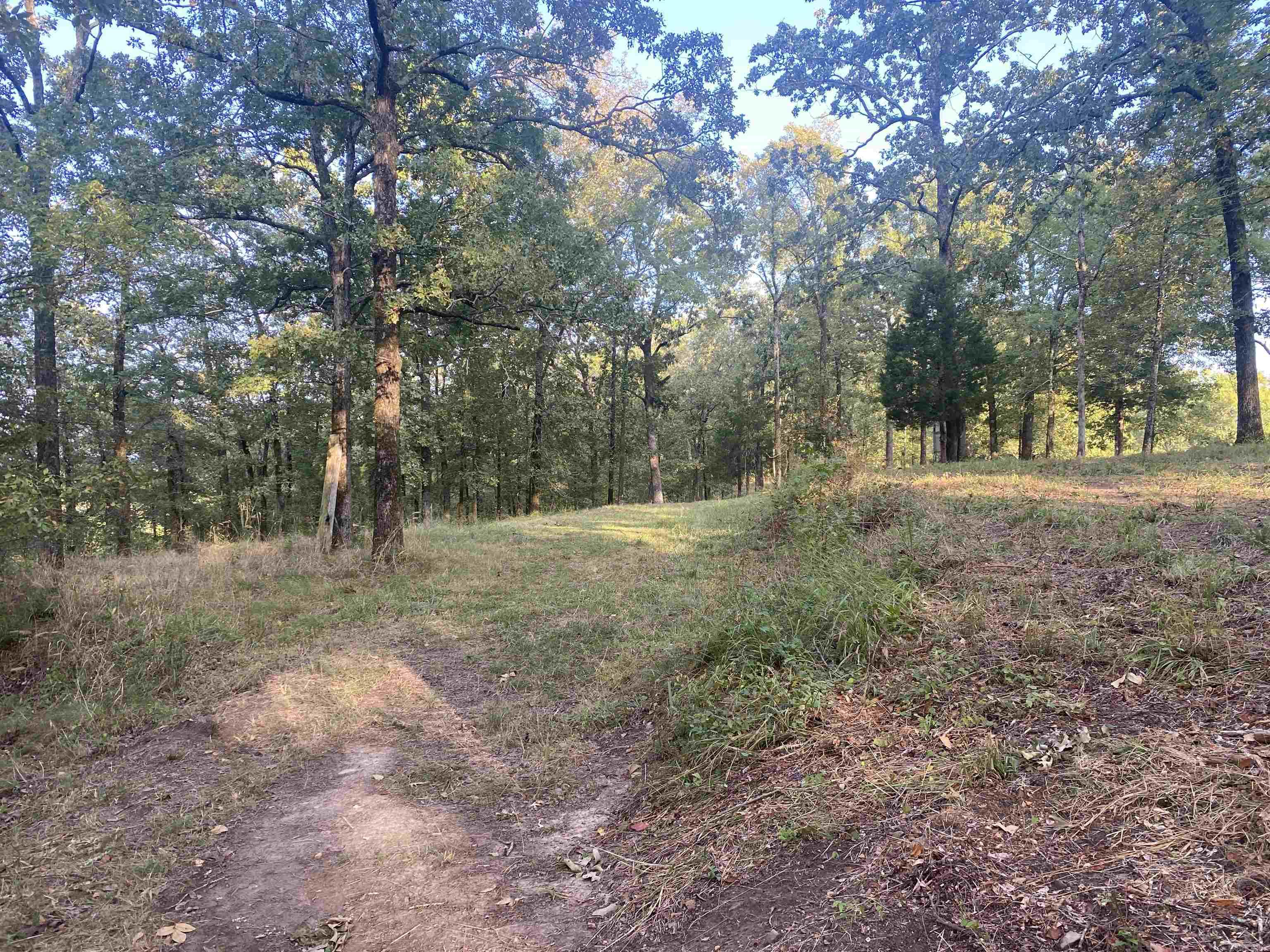 2076 Bob Hall  Donaldson, AR