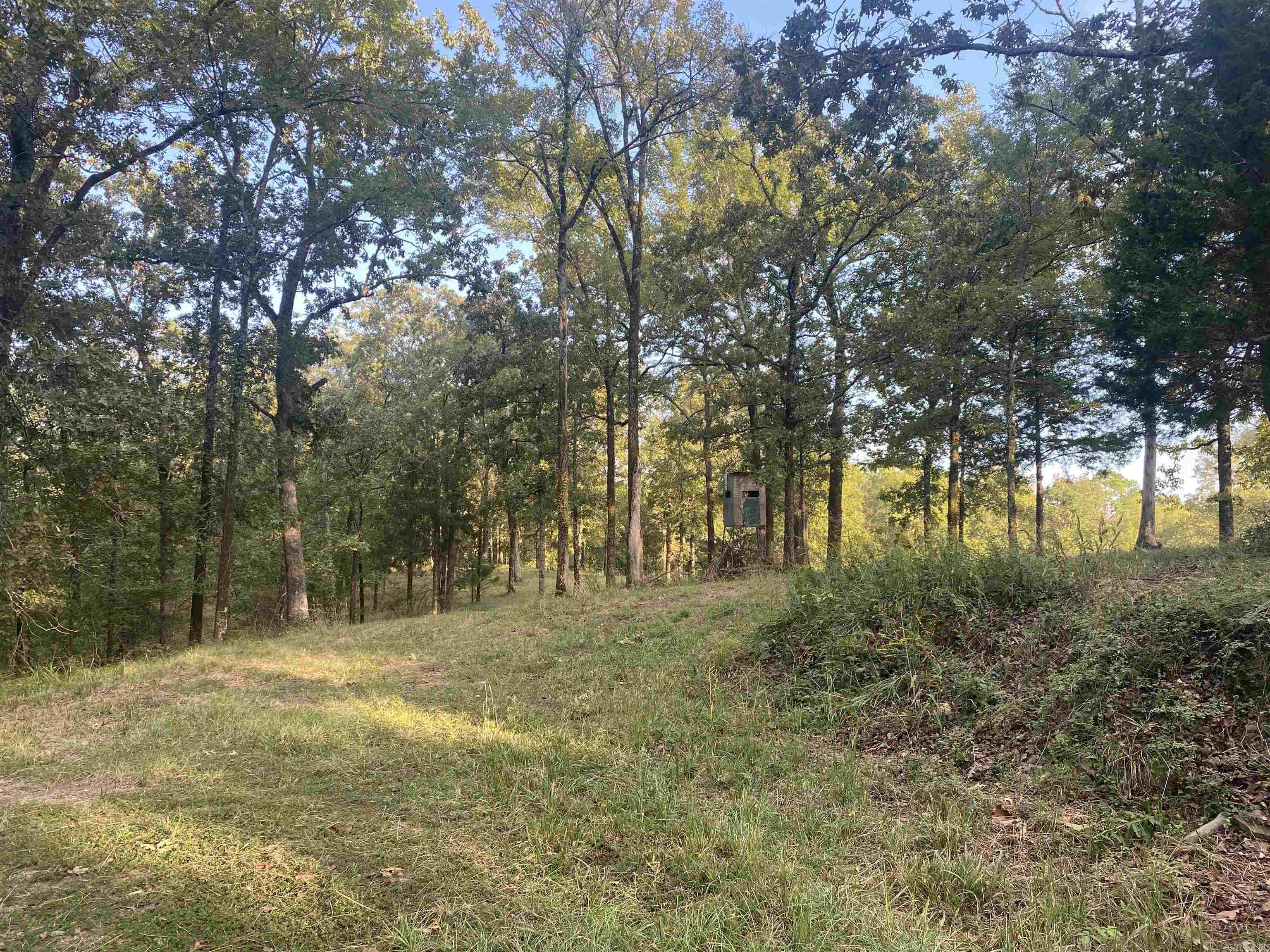 2076 Bob Hall  Donaldson, AR