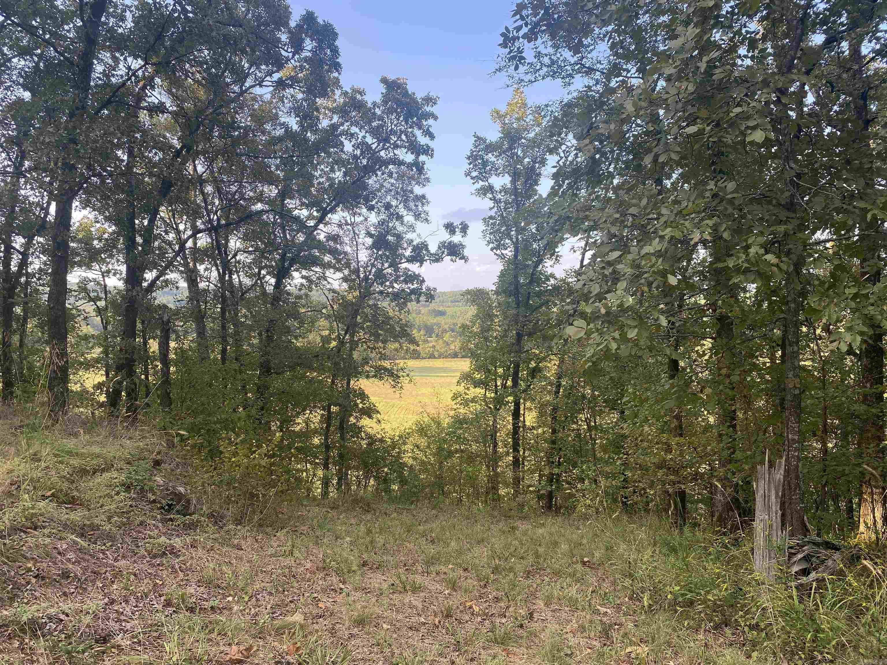 2076 Bob Hall  Donaldson, AR
