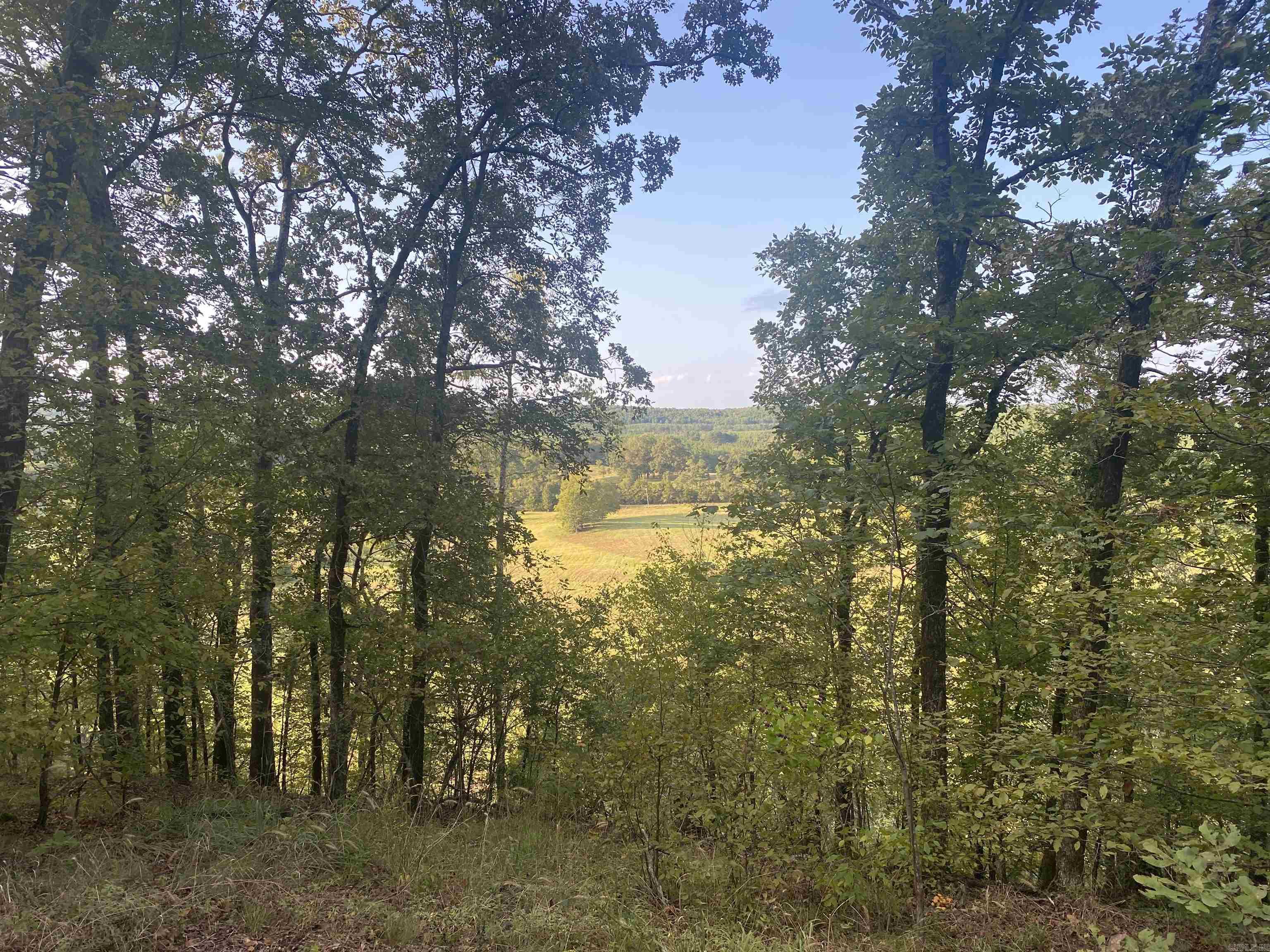 2076 Bob Hall  Donaldson, AR